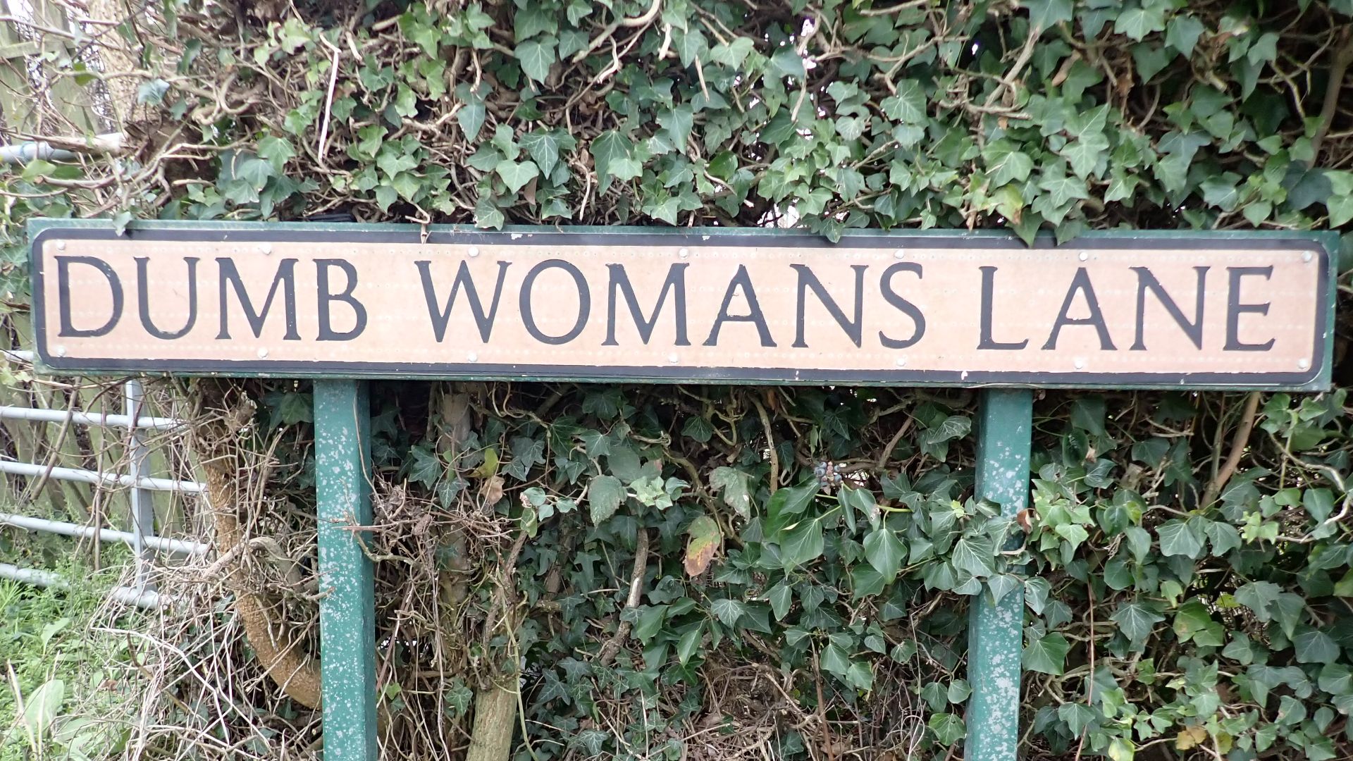File:Dumb Womans Lane January 2024.jpg