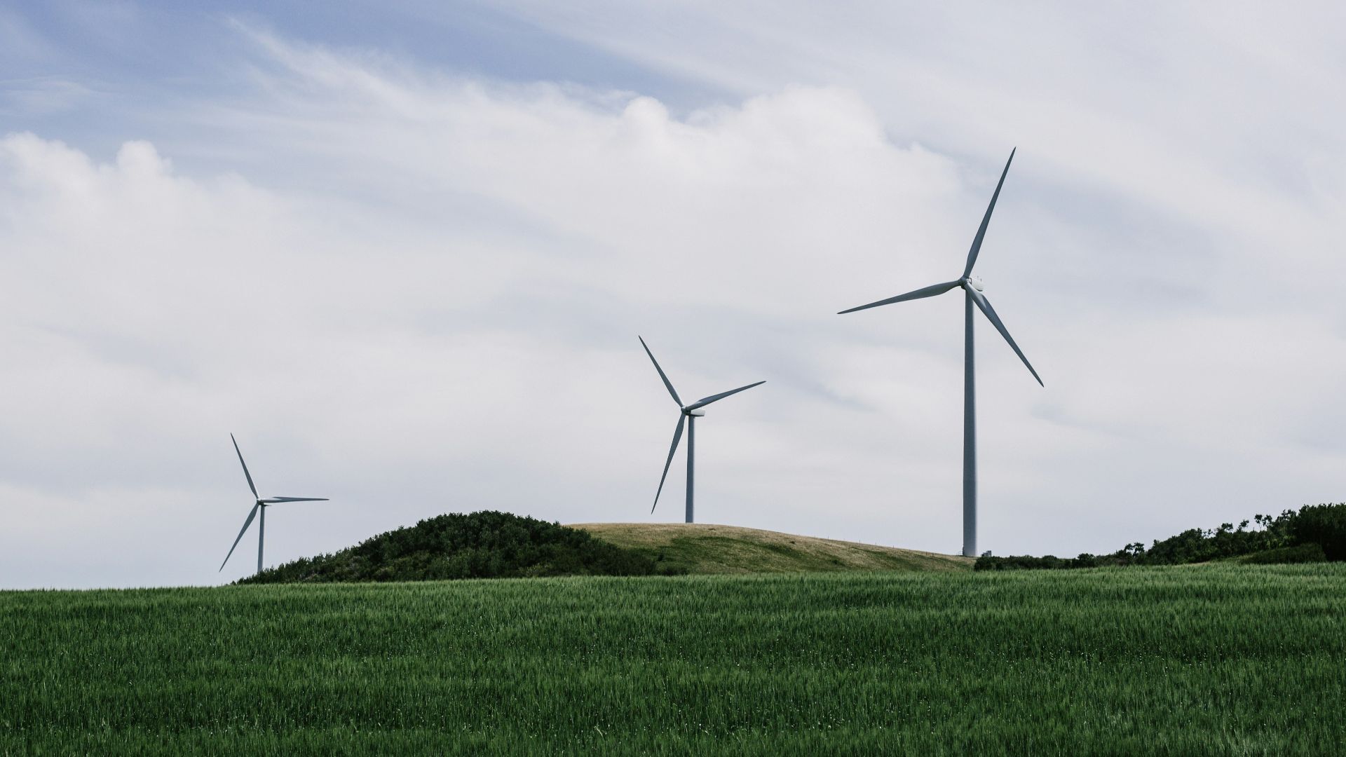 three windmill on green field