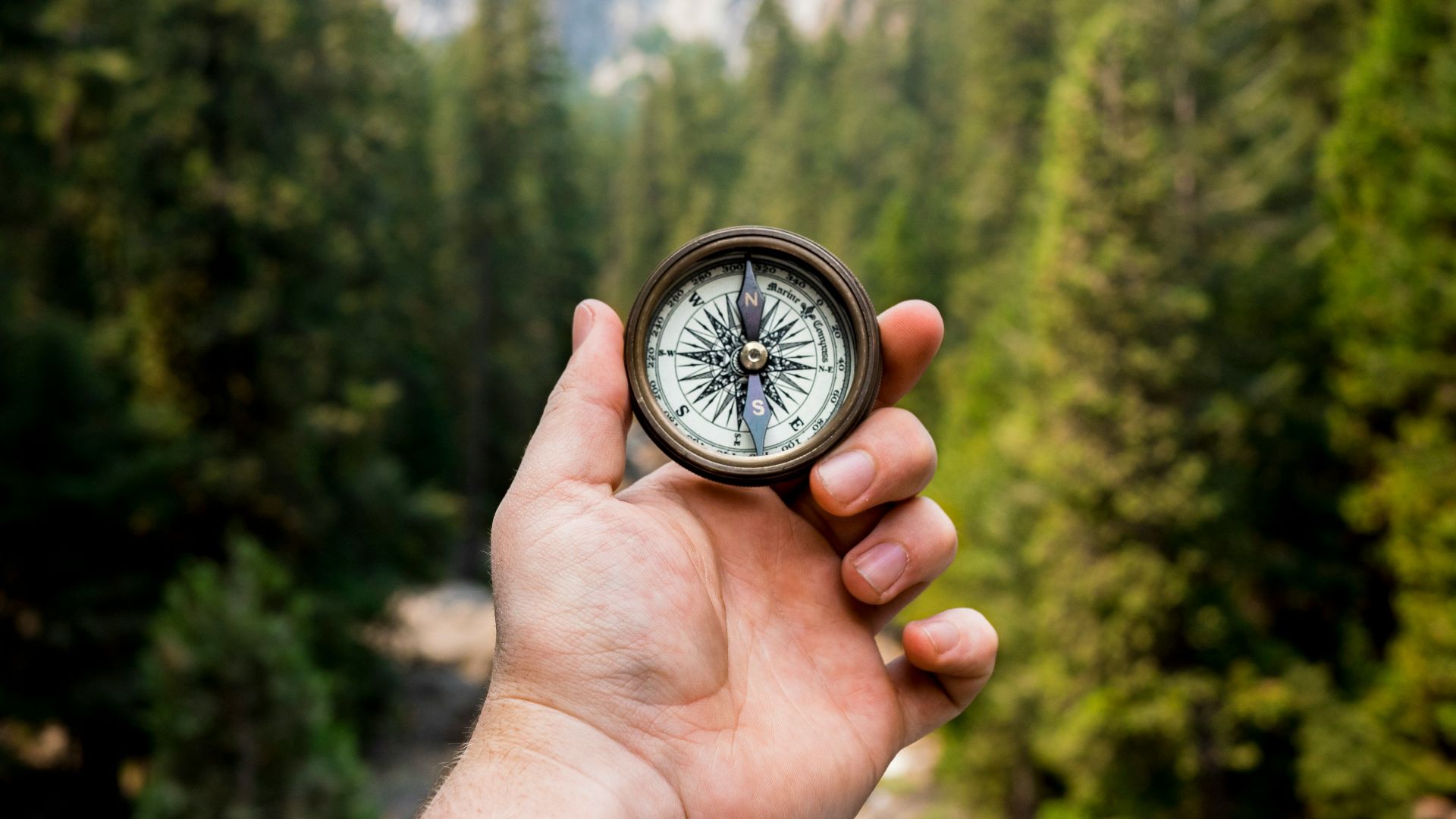 person holding compass facing towards green pine trees