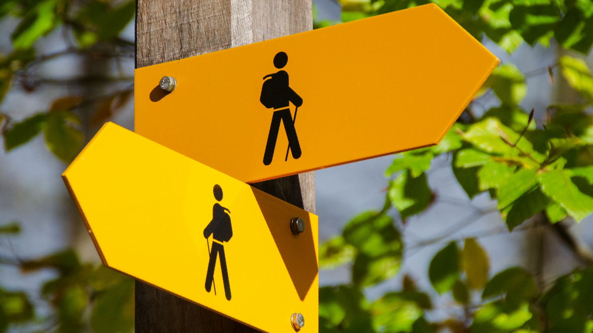 yellow road signage at daytime