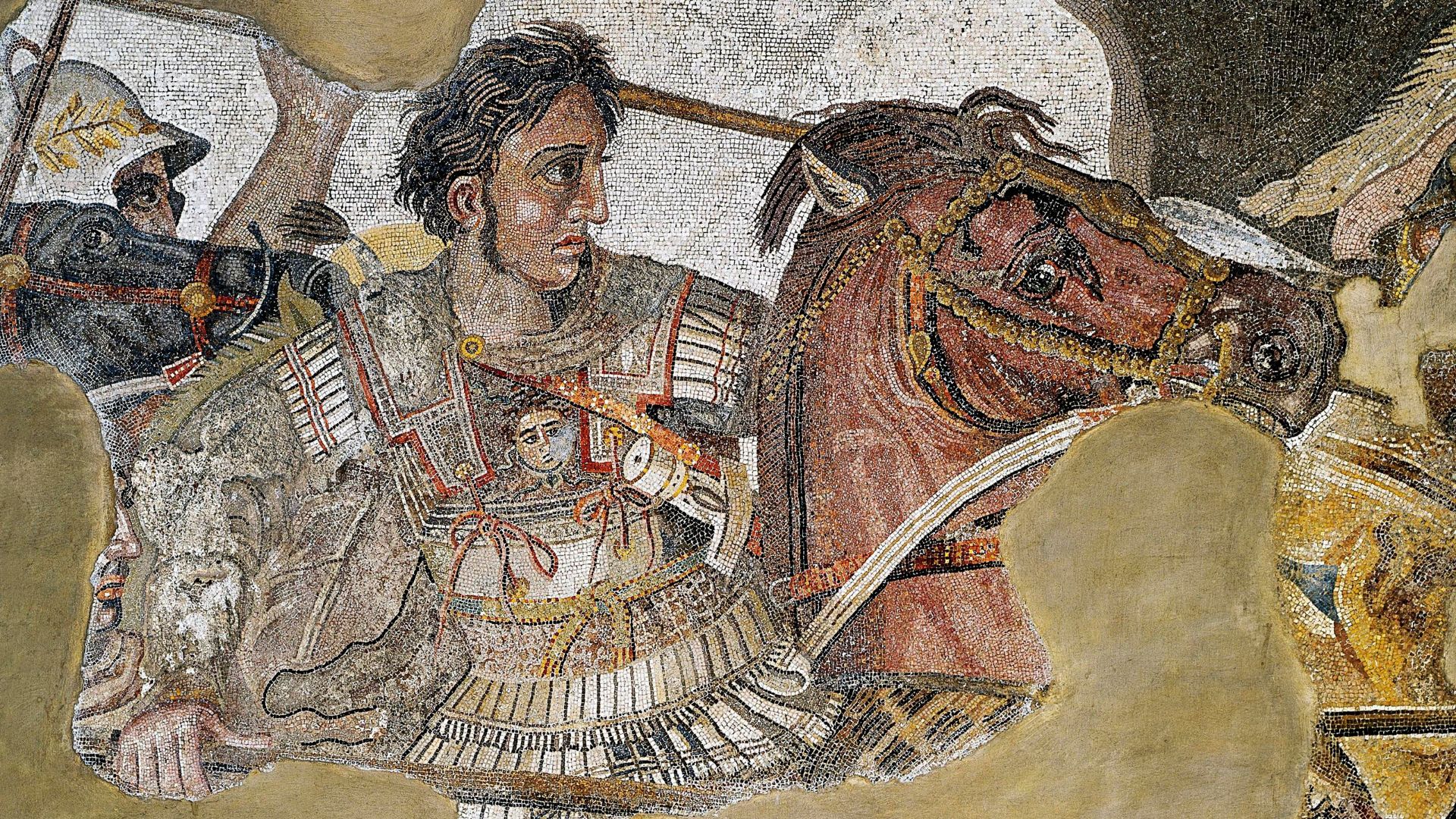 File:Alexander the Great mosaic.jpg