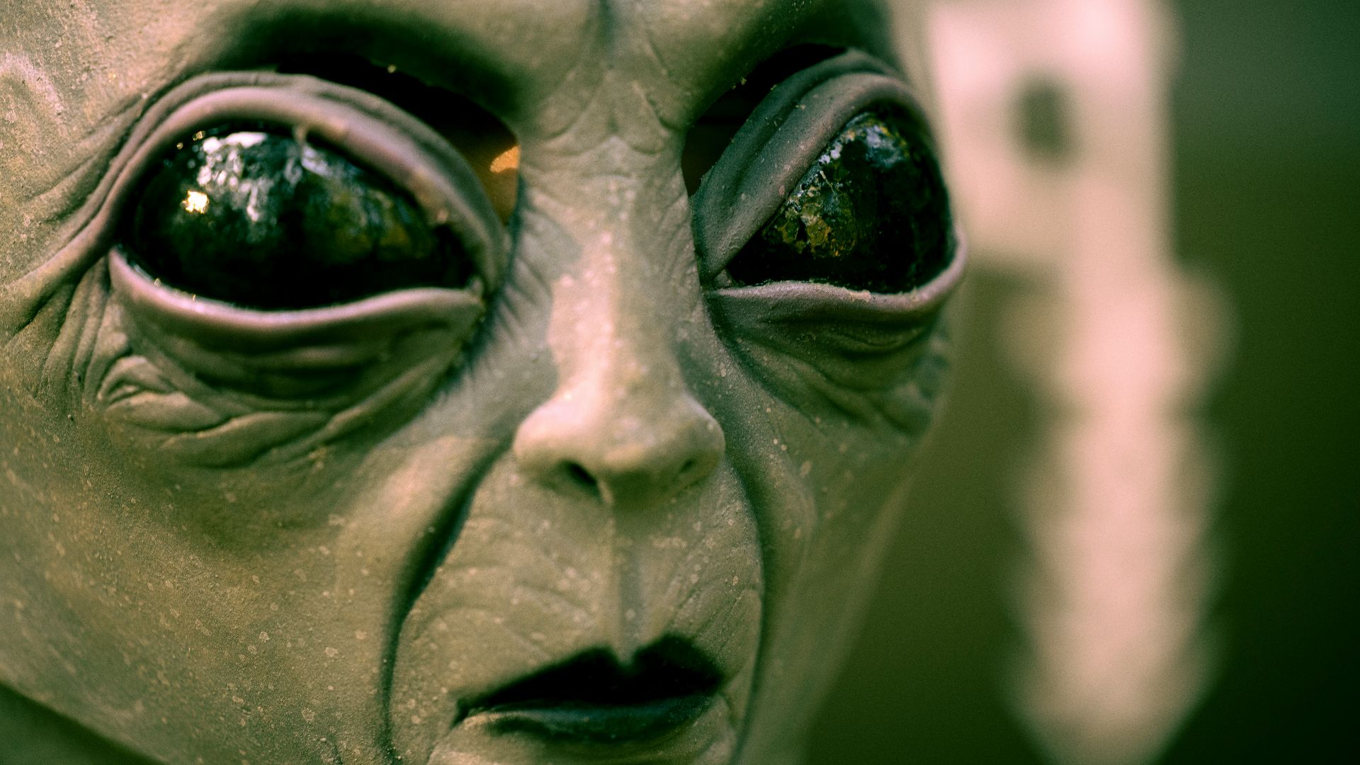 gray scale photo of human face