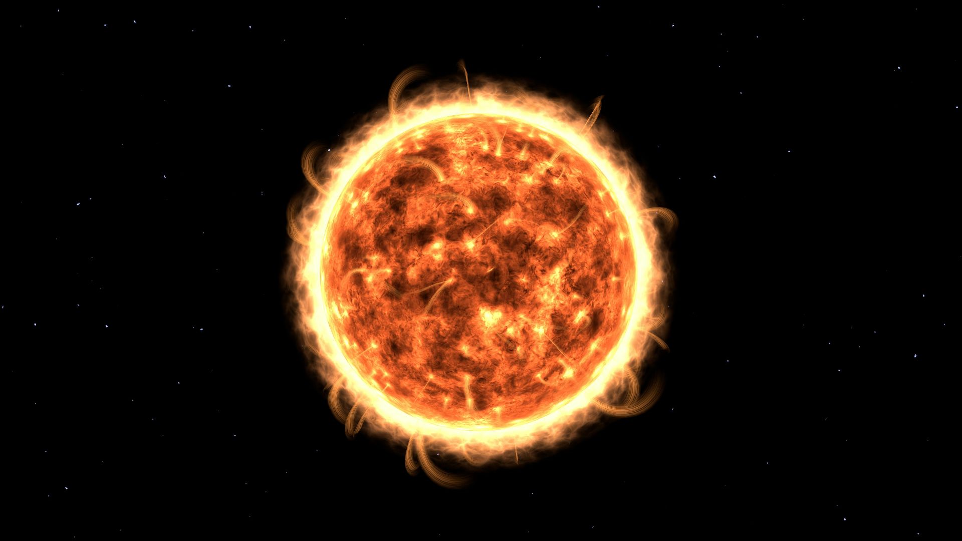 round brown and black illustration