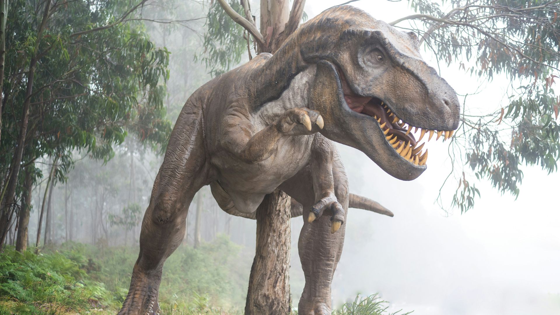 brown dinosaur illustration