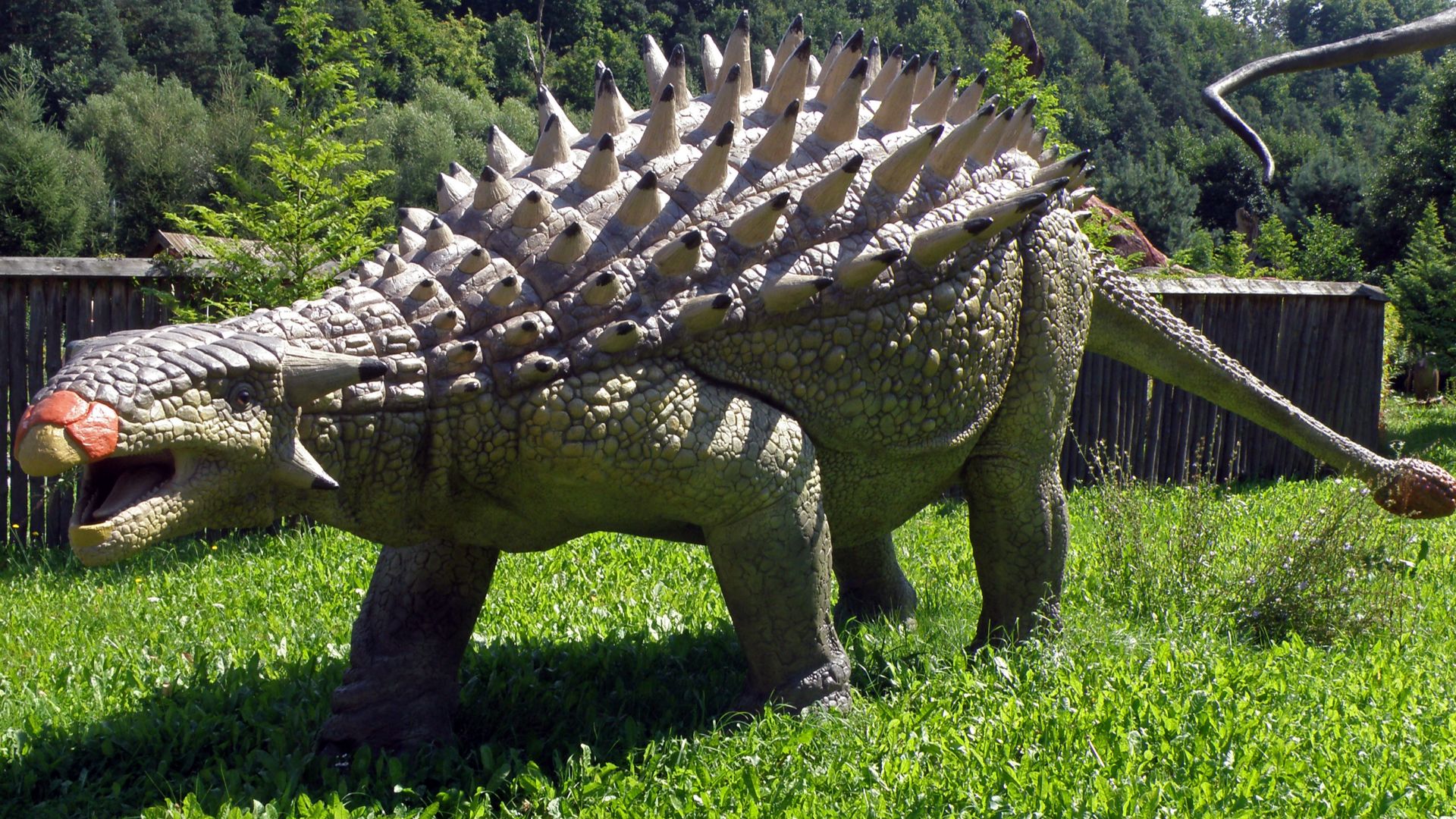 File:Ankylozaur (Ankylosaurus) - JuraPark Baltow (1).JPG