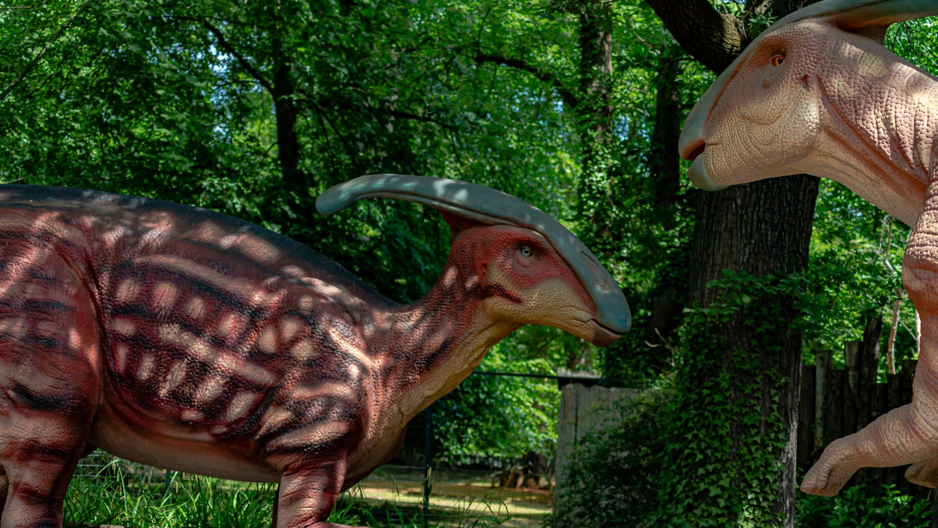 a group of dinosaurs