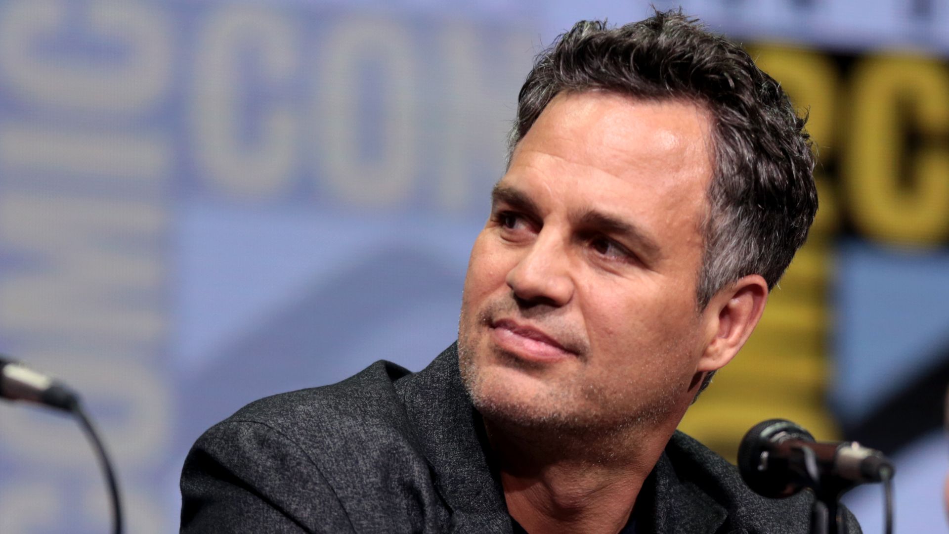 File:Mark Ruffalo (36076108462).jpg