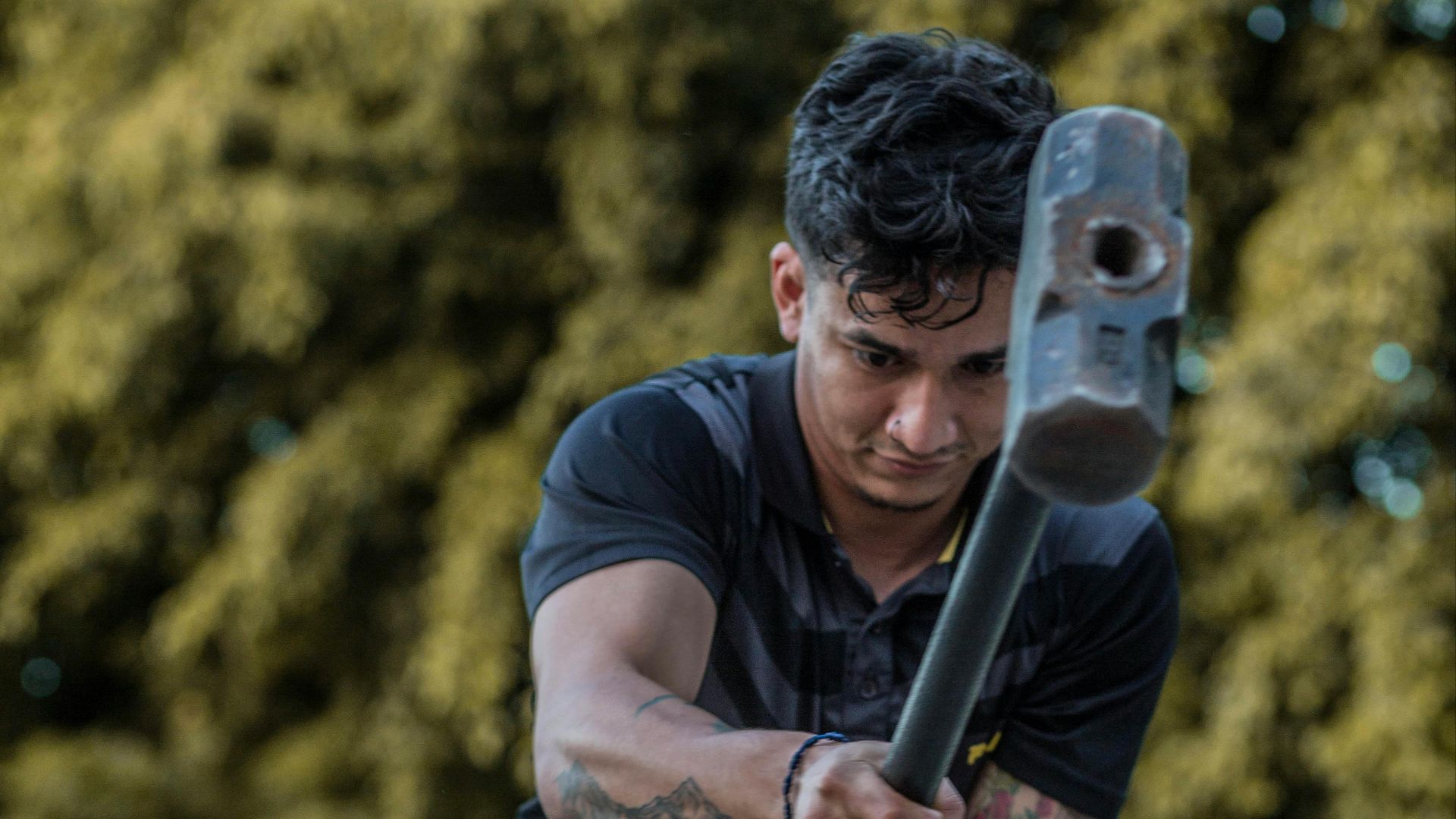 Manuel  Guillén Vega