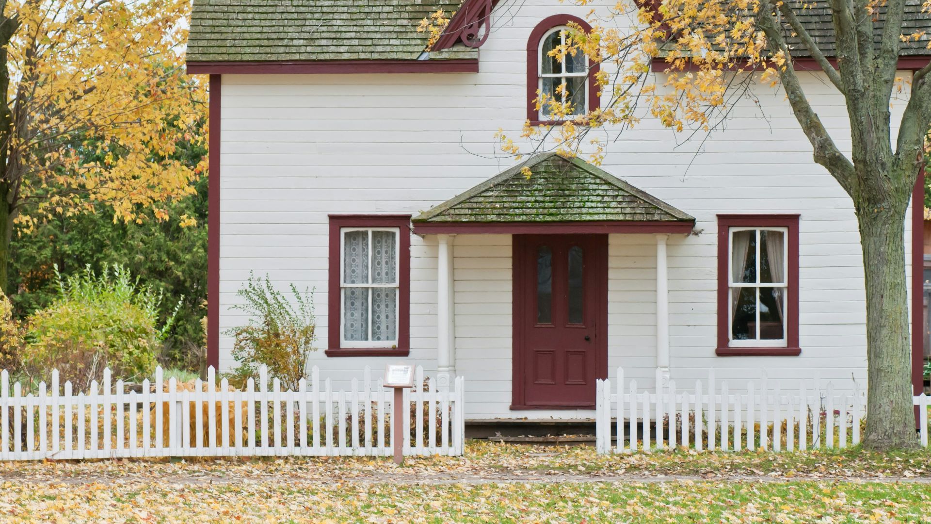 white house under maple trees