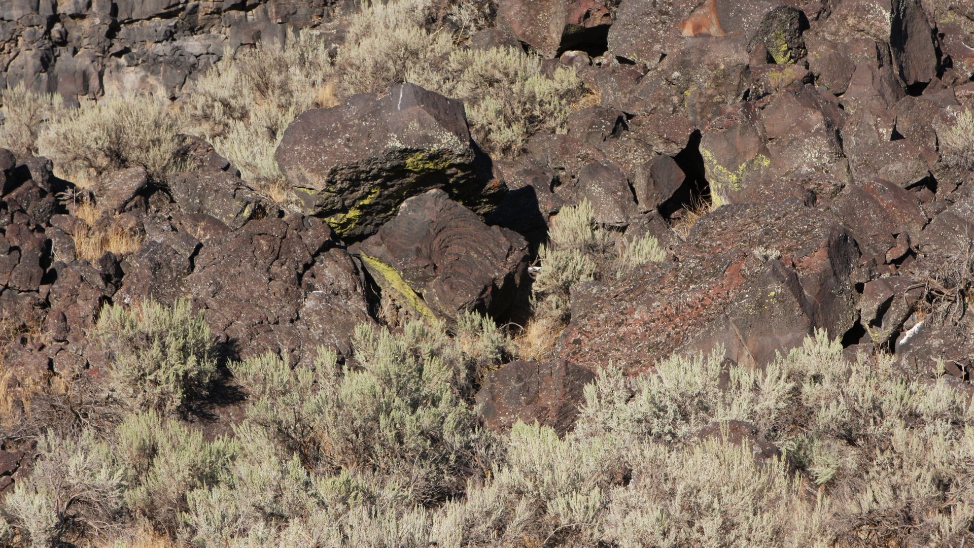 File:Ancient Lava Flow - Flickr - brewbooks.jpg