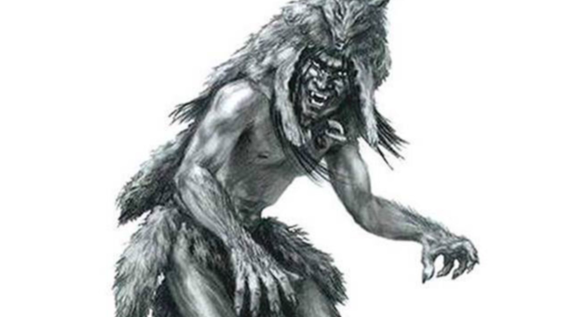 File:Navajo lore shape shifter.jpg