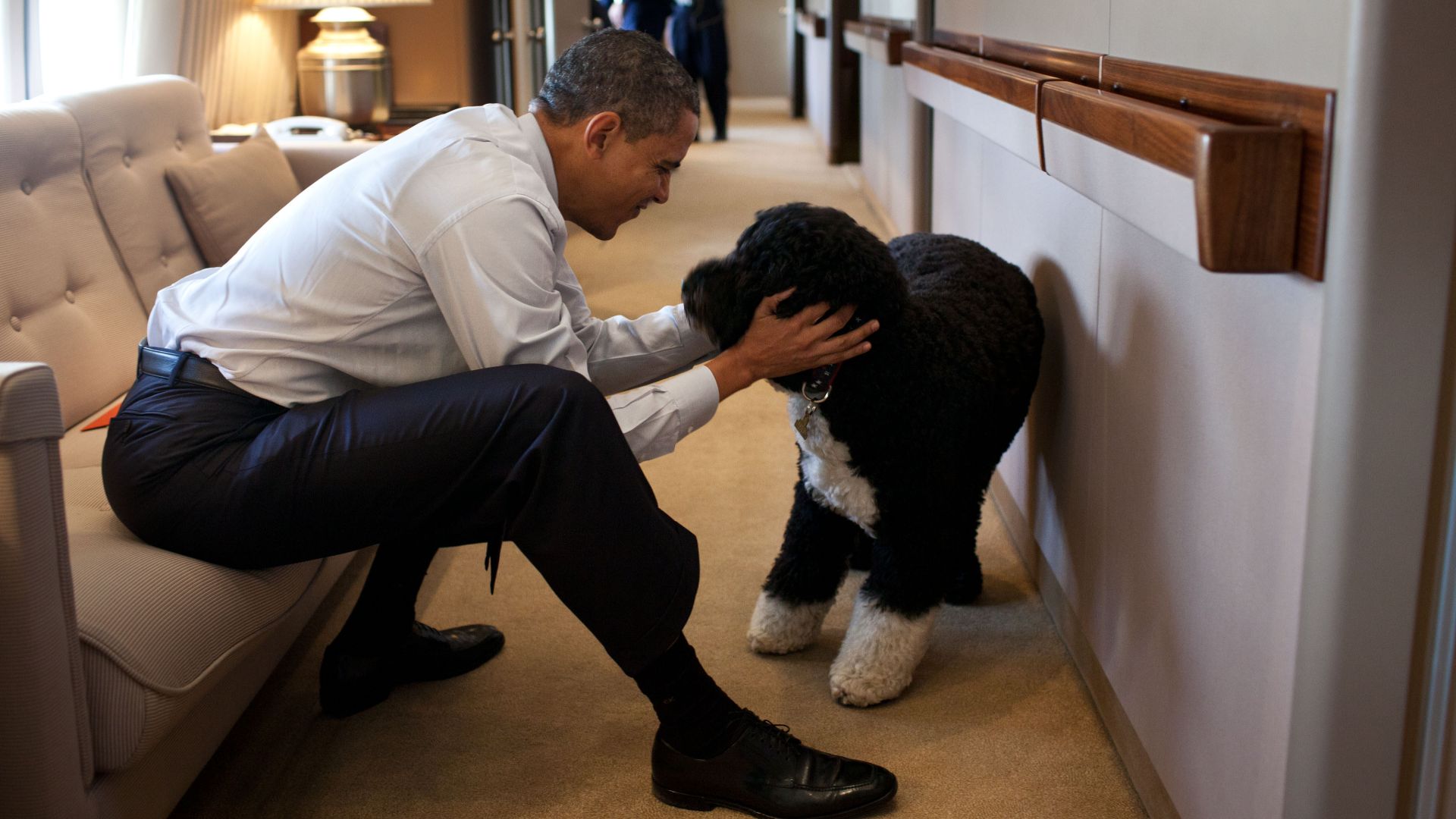 File:Obama and Bo on Airforce One.jpg