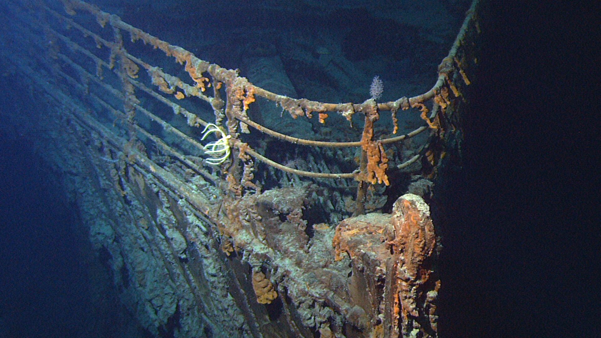 File:Titanic wreck bow.jpg