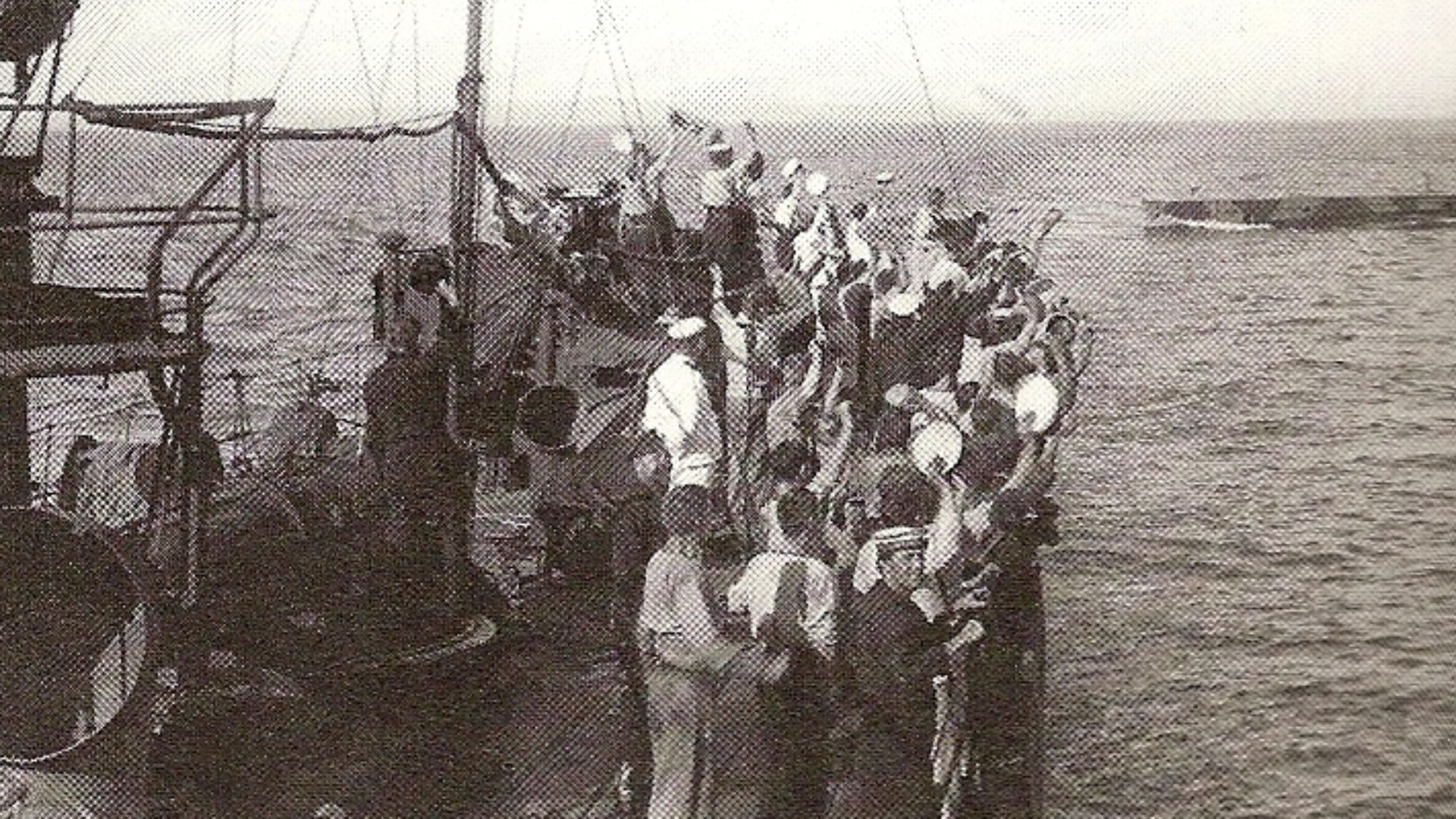 File:Cheering E11.jpg