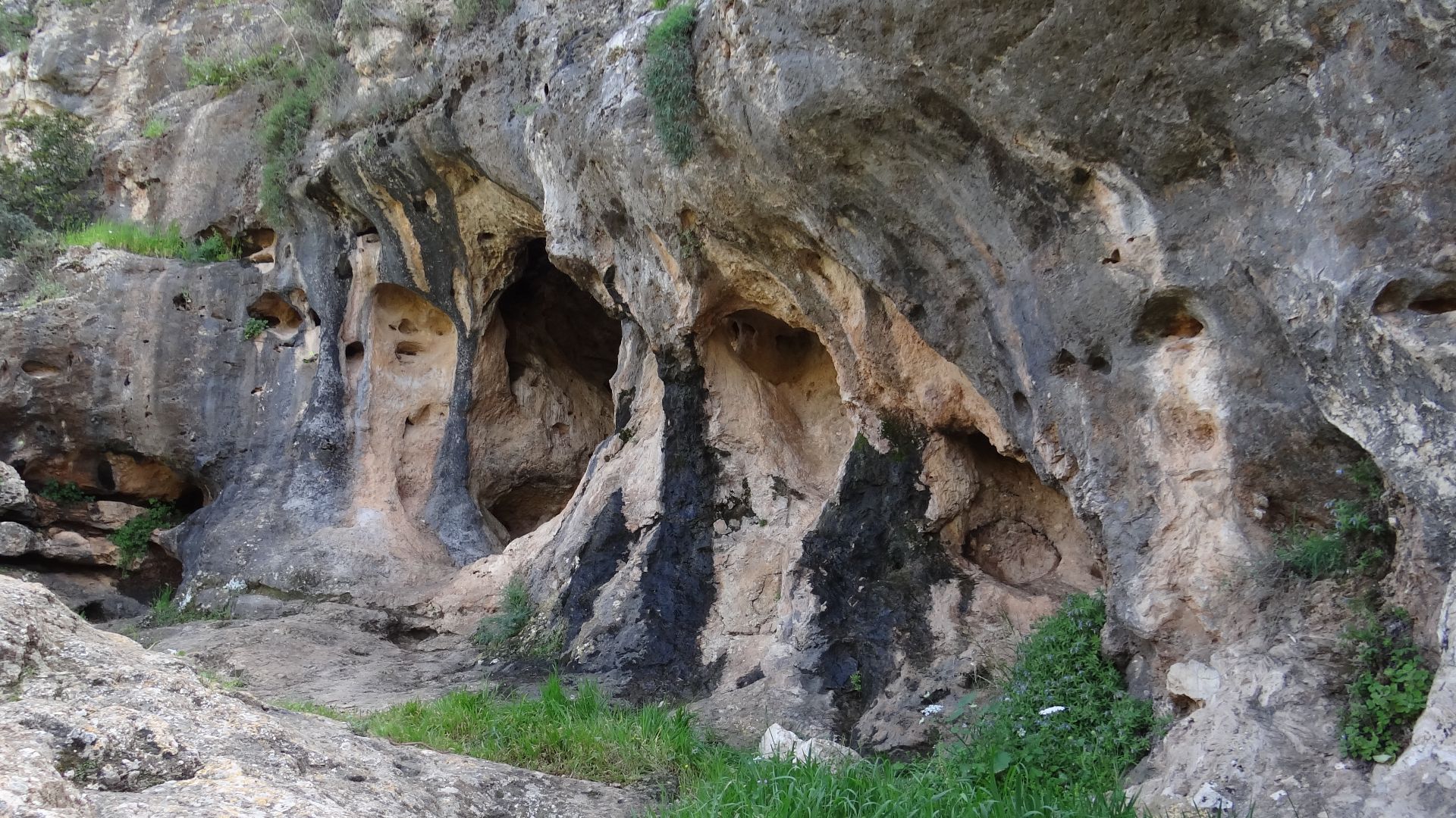 File:Skhul Cave 2018 (3).jpg