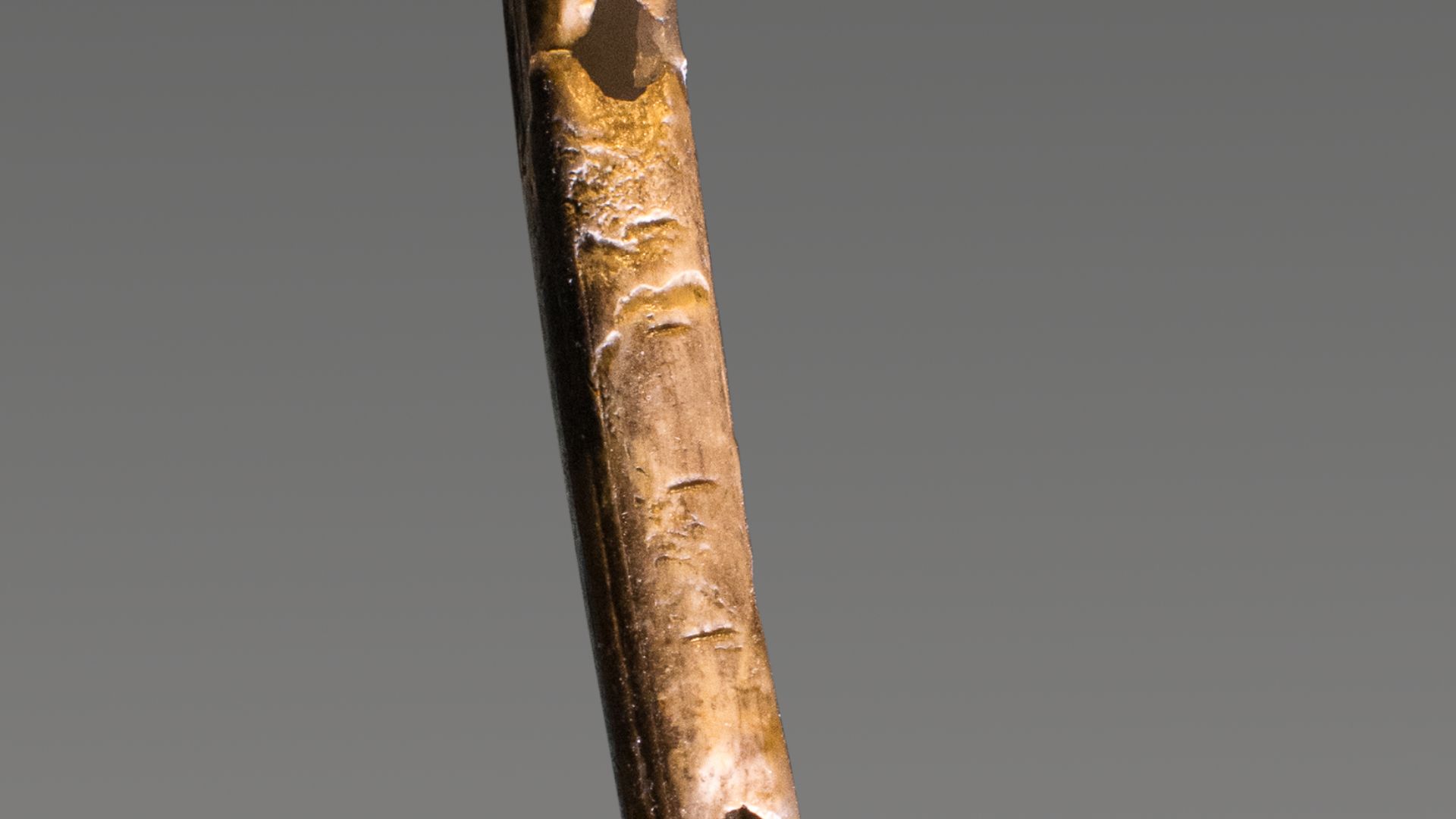 File:Floete Schwanenknochen Geissenkloesterle Blaubeuren.jpg