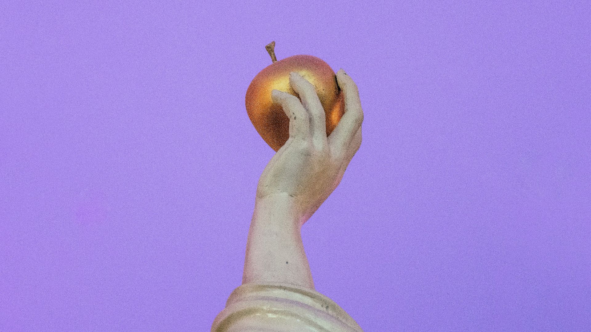 person holding orange fruit during daytime
