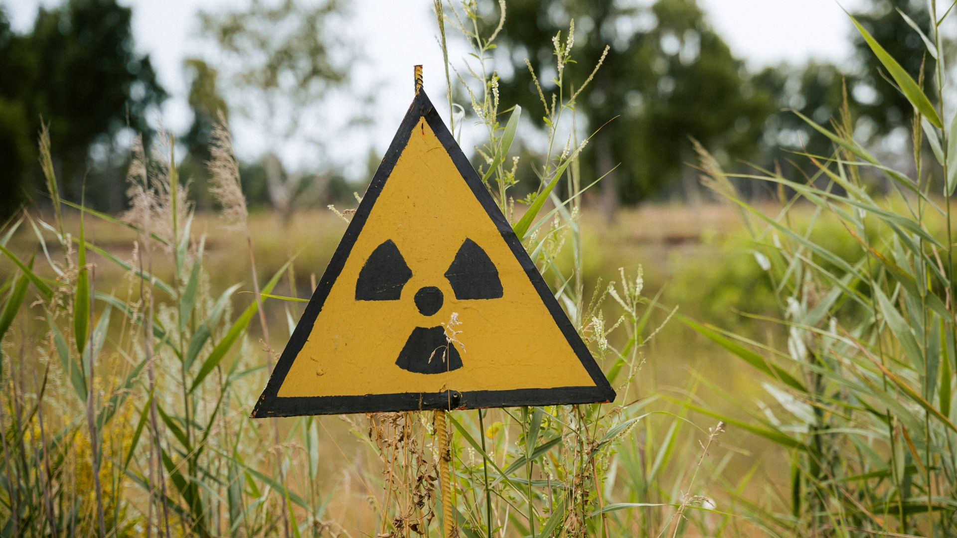 yellow and black road sign