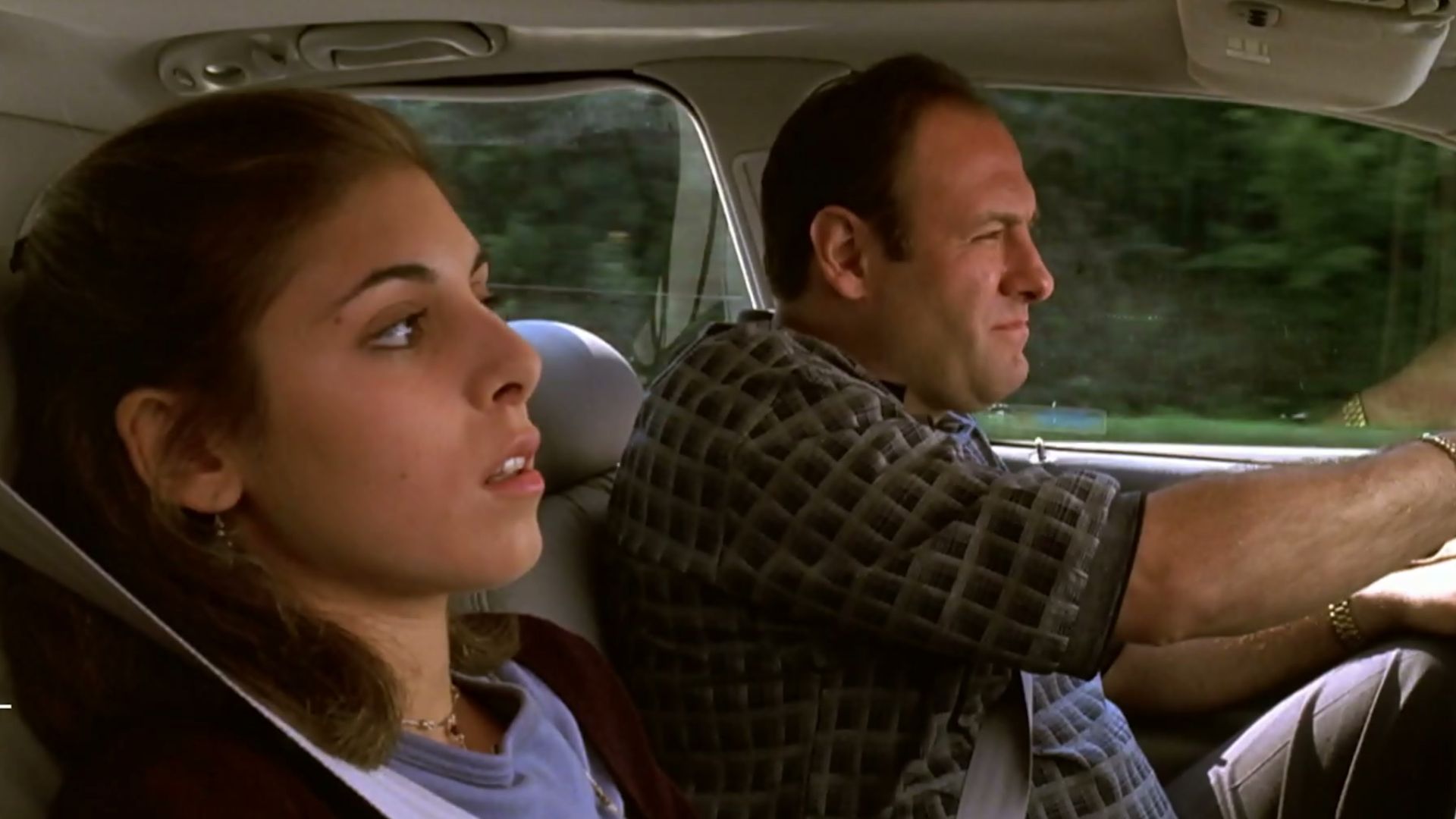 File:Meadow and Tony Soprano (The Sopranos Family Tree).jpg