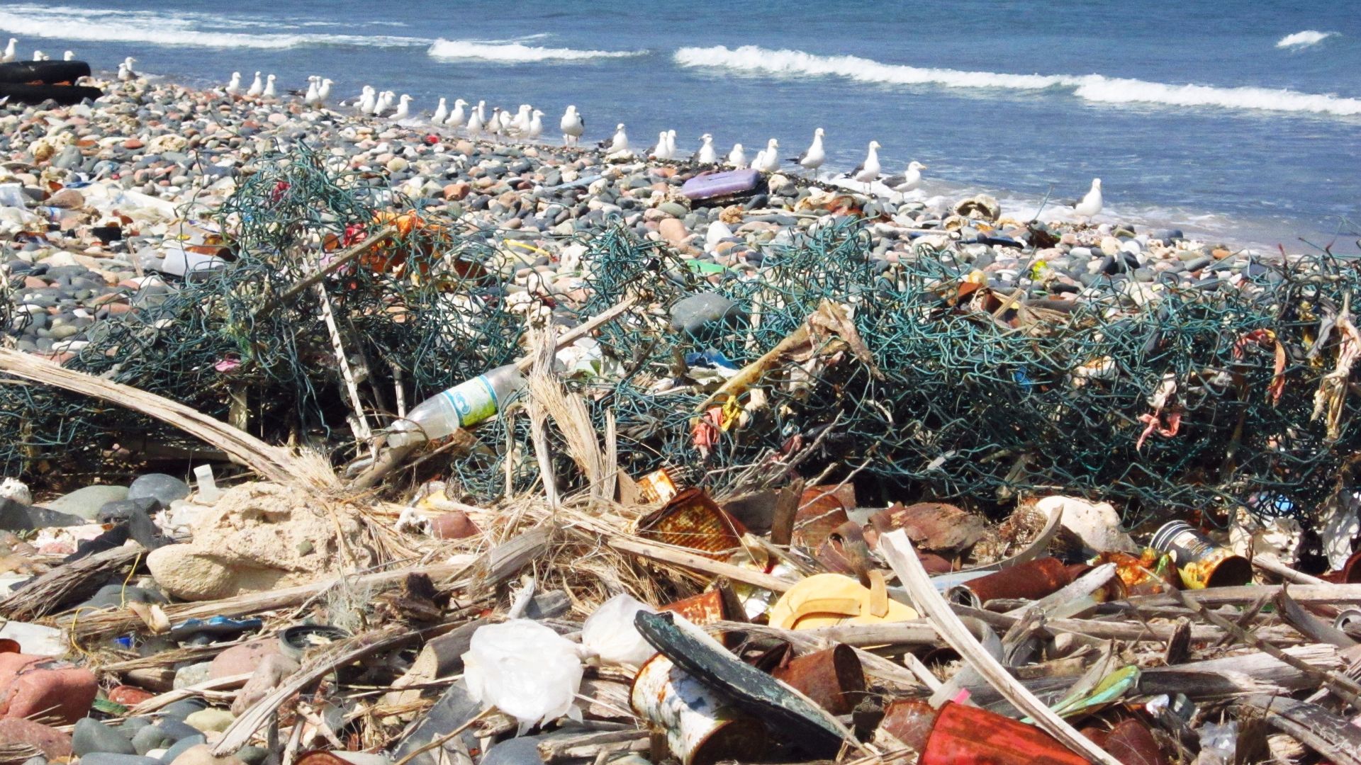 File:Trash on beach (6408224371).jpg