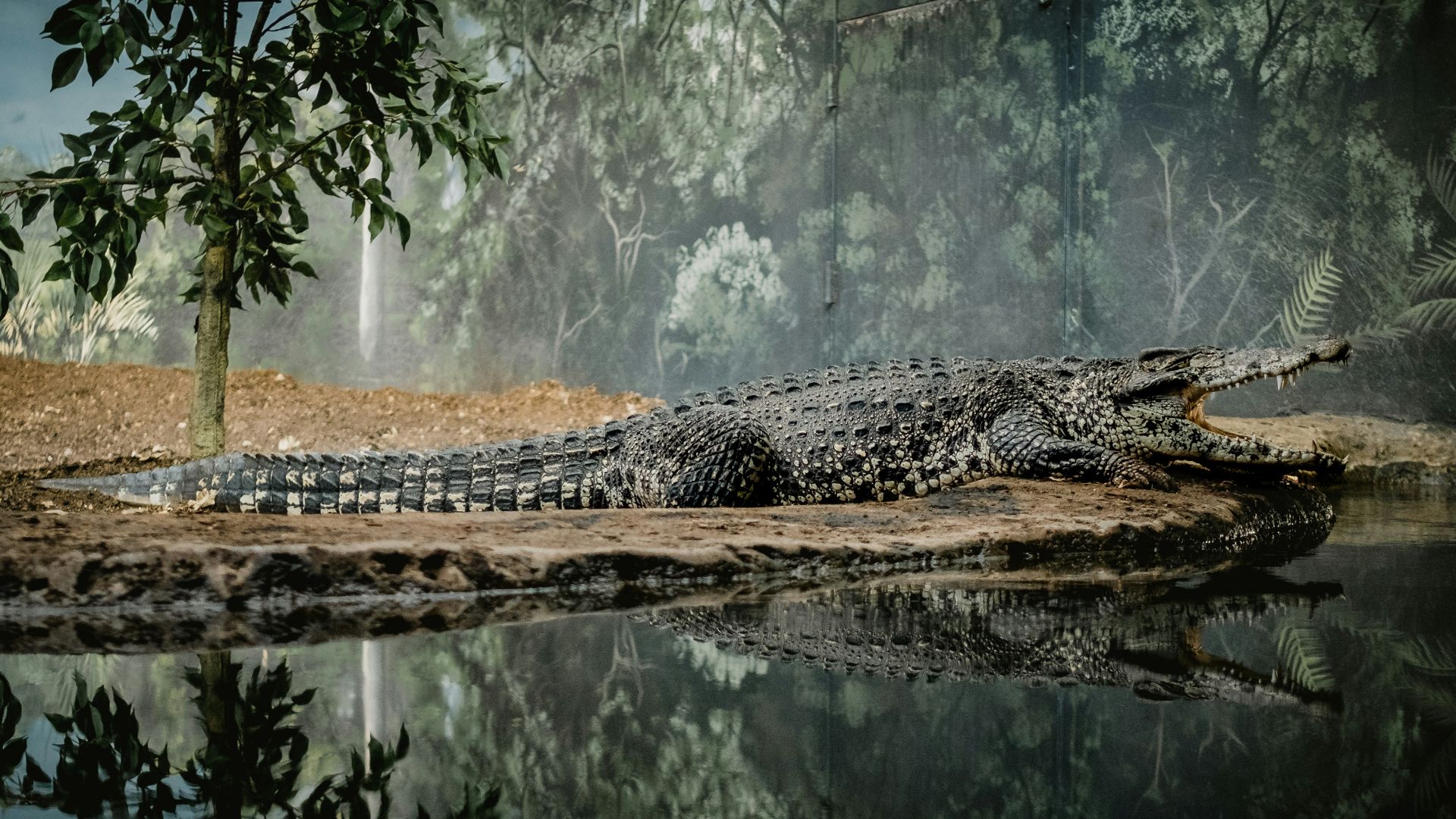landscape photography of lake surrounded by green leafed trees