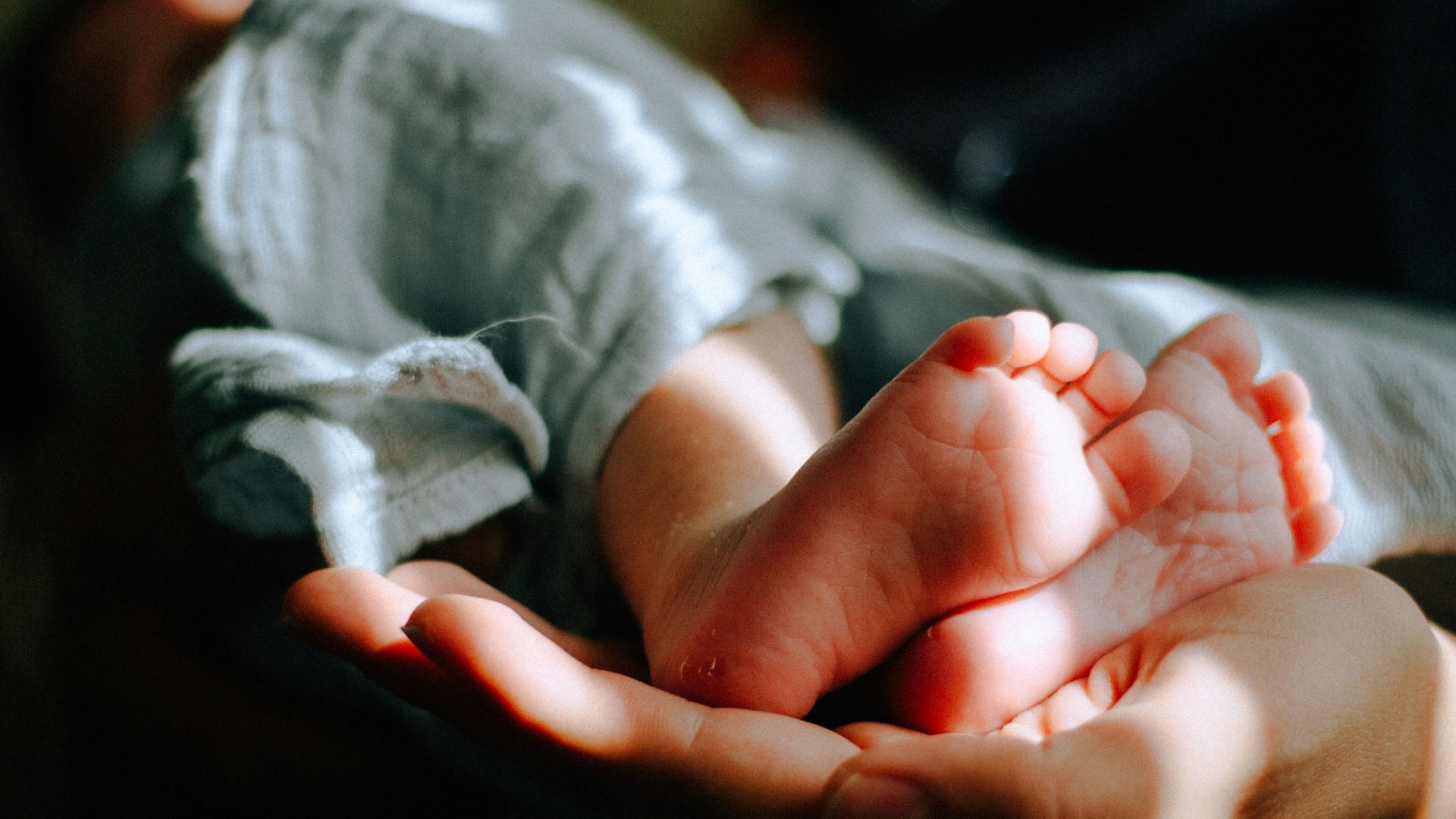 person holding baby feet