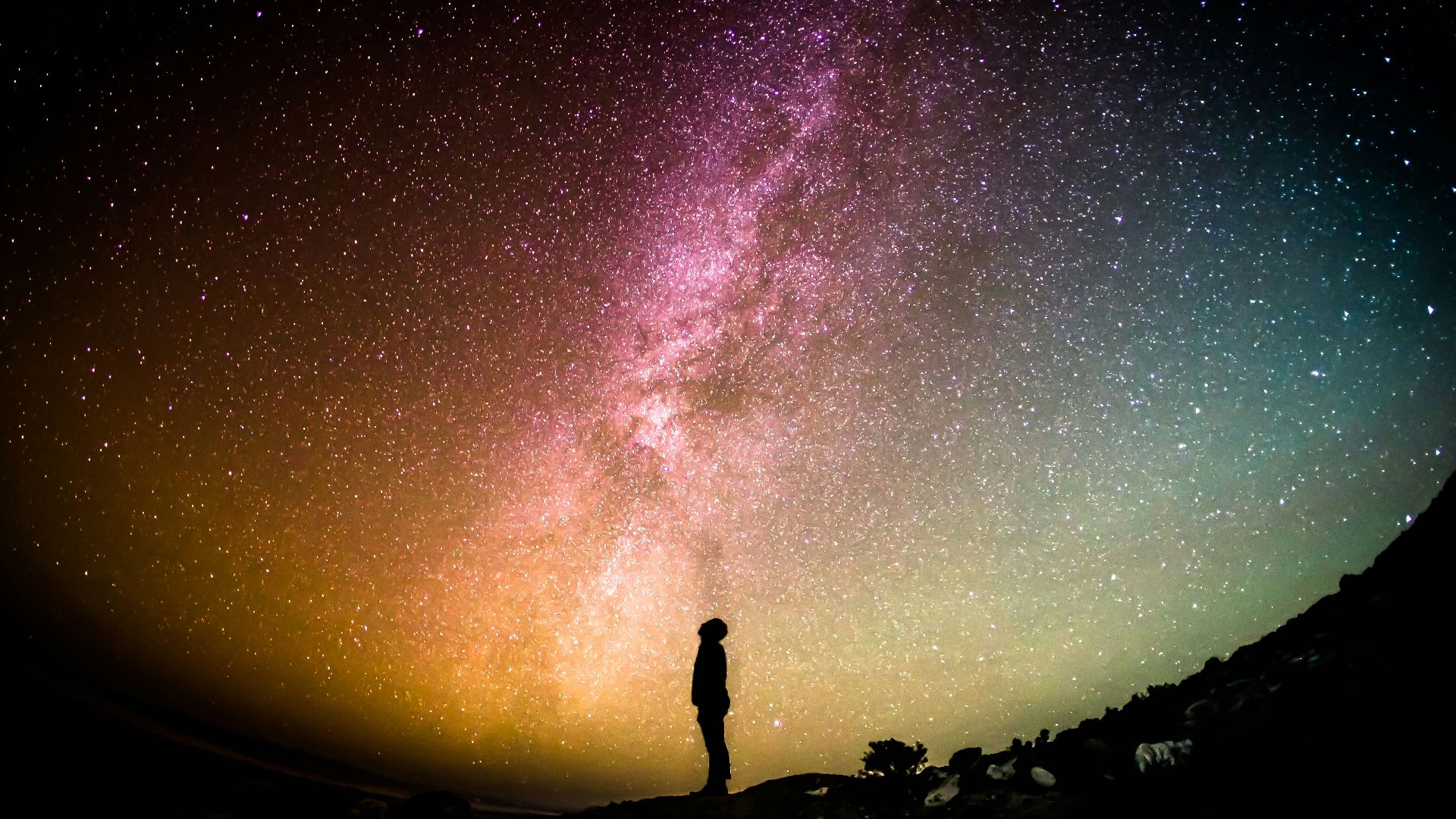 silhouette photography of person