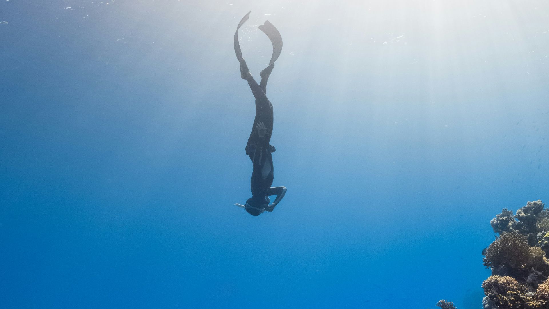 a person is swimming in the water near a coral reef