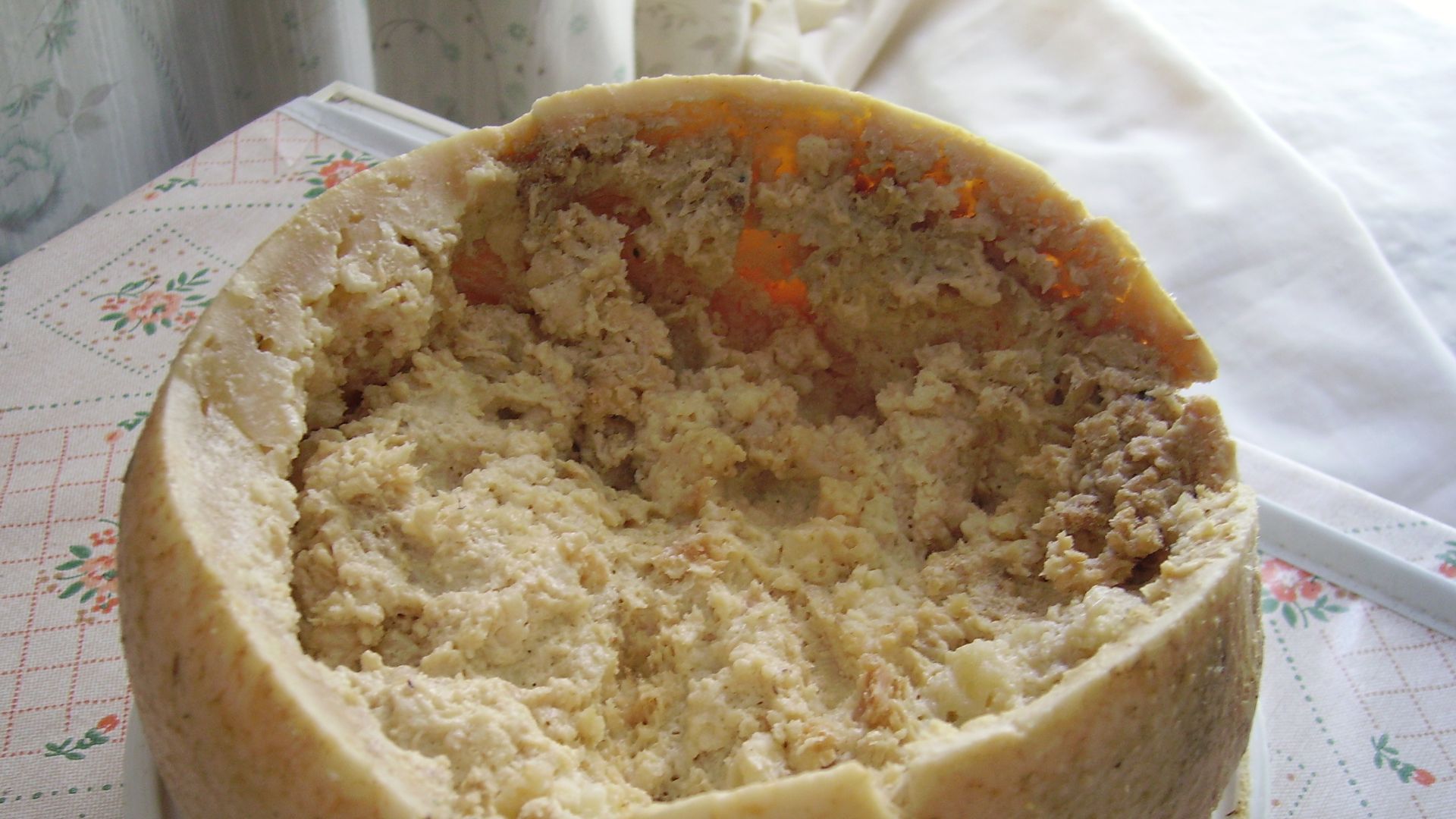 File:Casu Marzu cheese.jpg