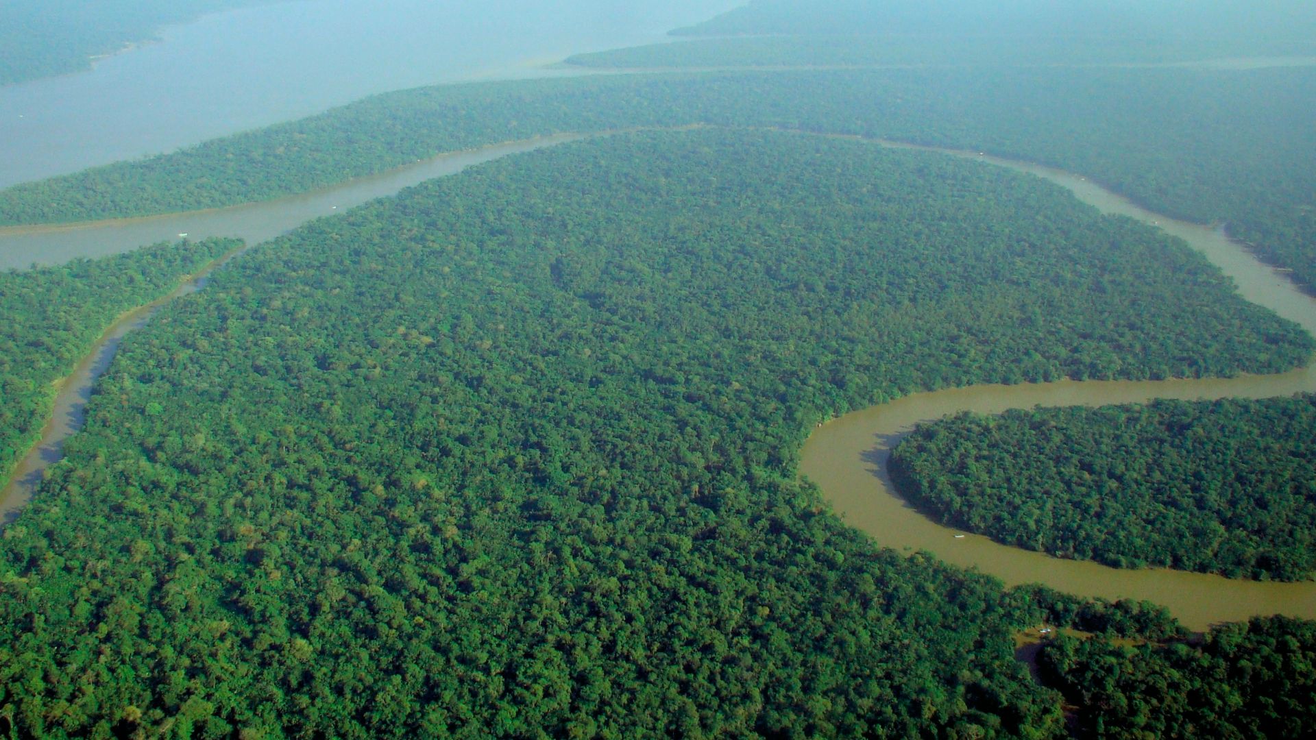 File:Aerial view of the Amazon Rainforest.jpg