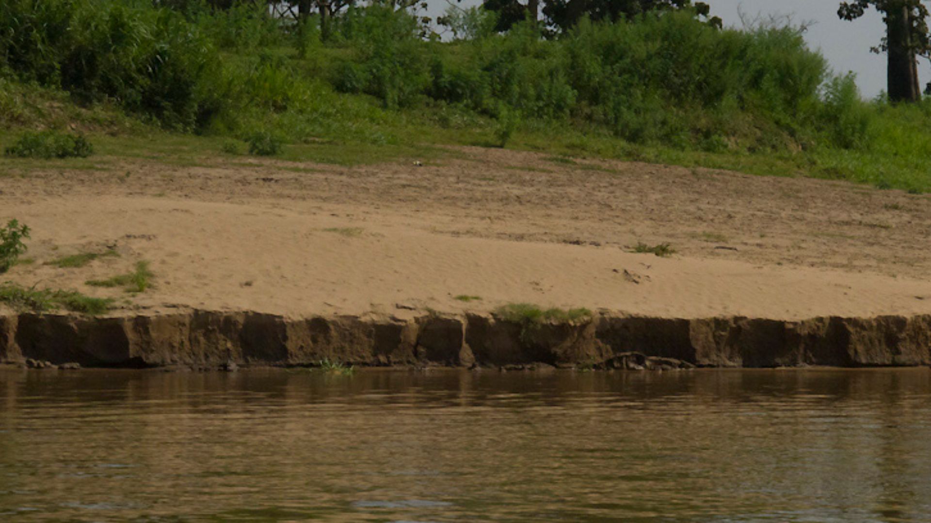 File:Amazon alluvium deposit - autazes.jpg