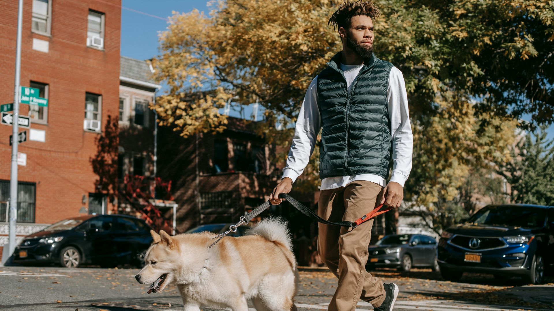 Awkward Moments facts