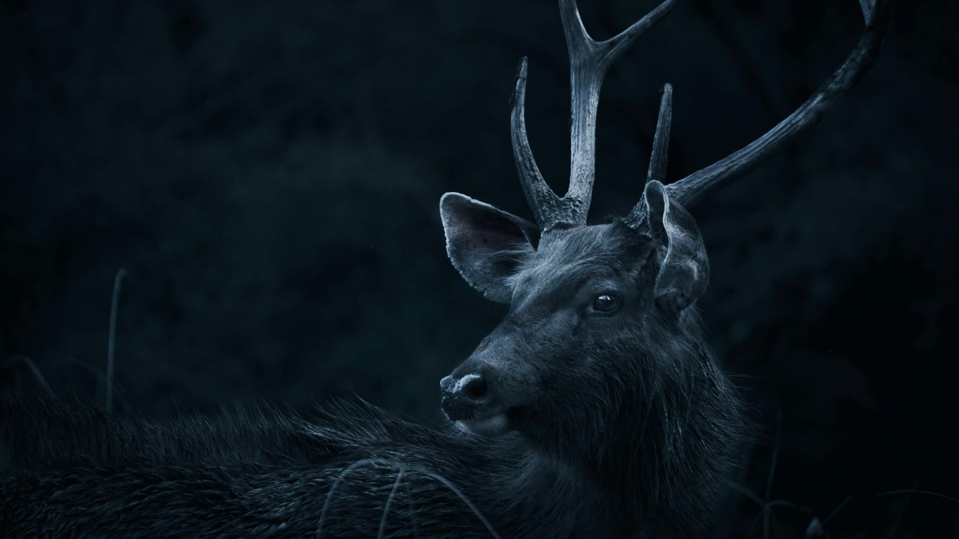 Vincent M.A. Janssen