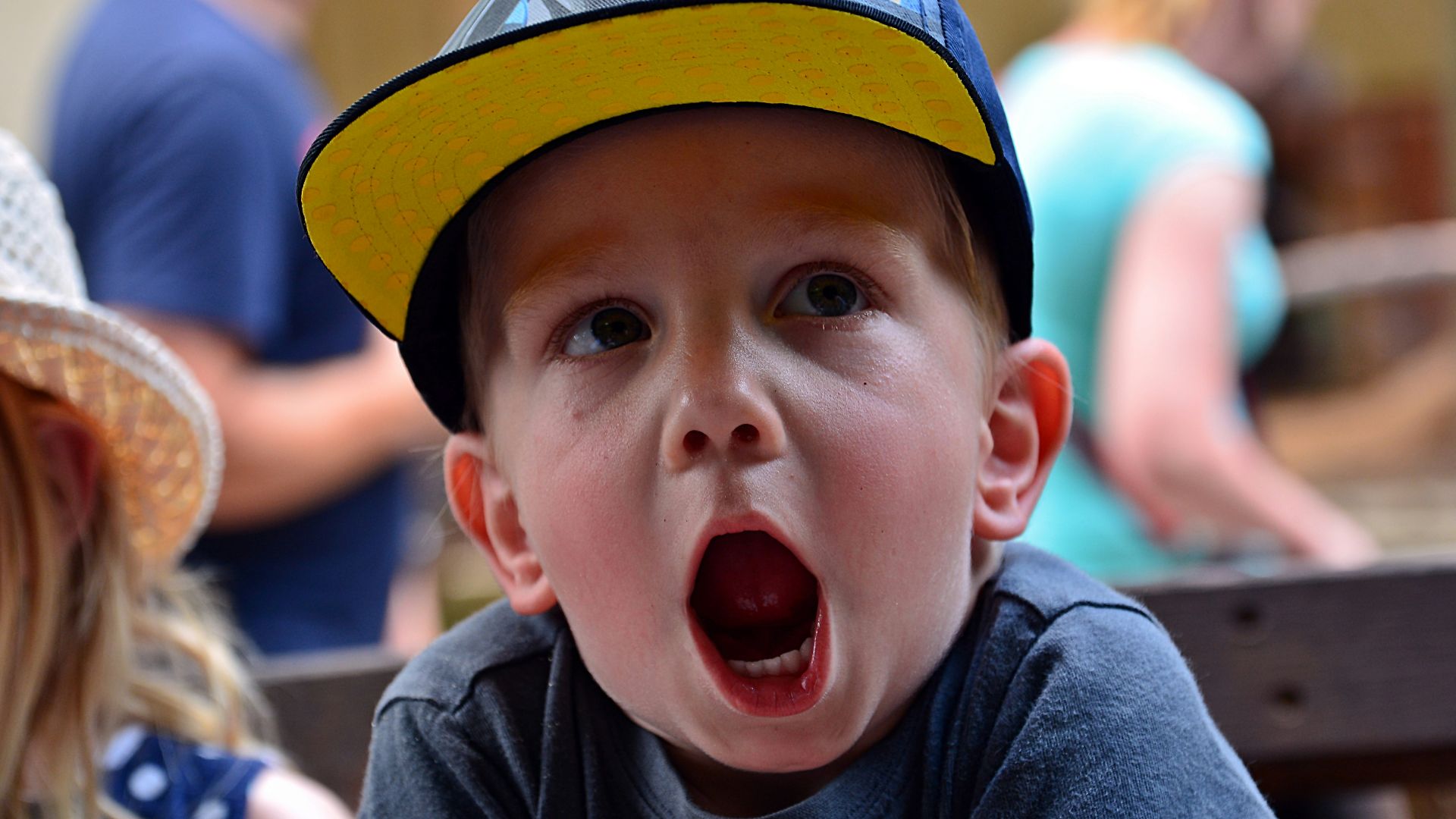 boy in blue crew neck t-shirt wearing blue and white cap