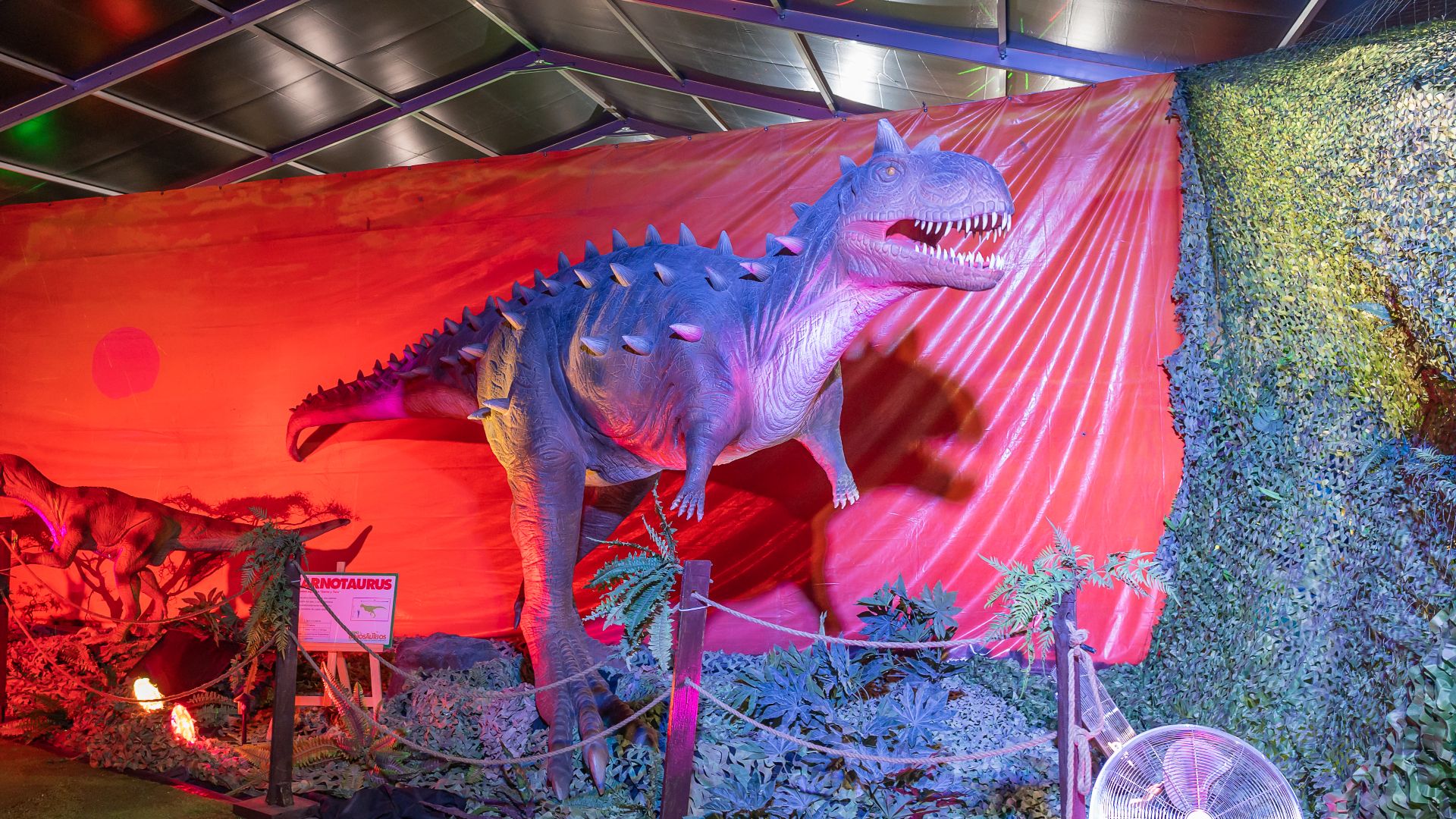 File:Carnotaurus, Expo Dinosaurios 2023 - A741011.jpg