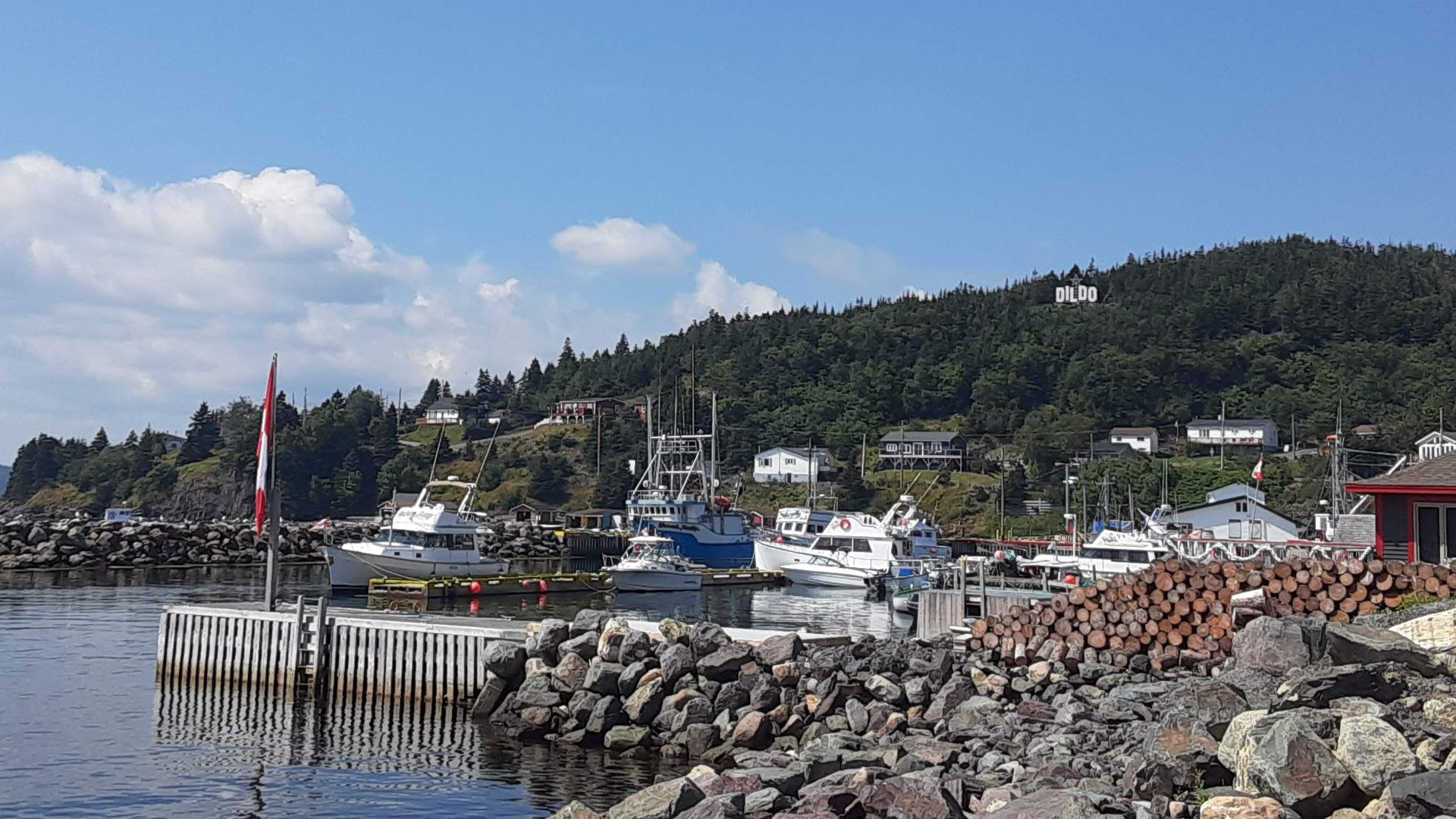 File:Dildo Sign donated by Jimmel Kimmel in 2019.jpg