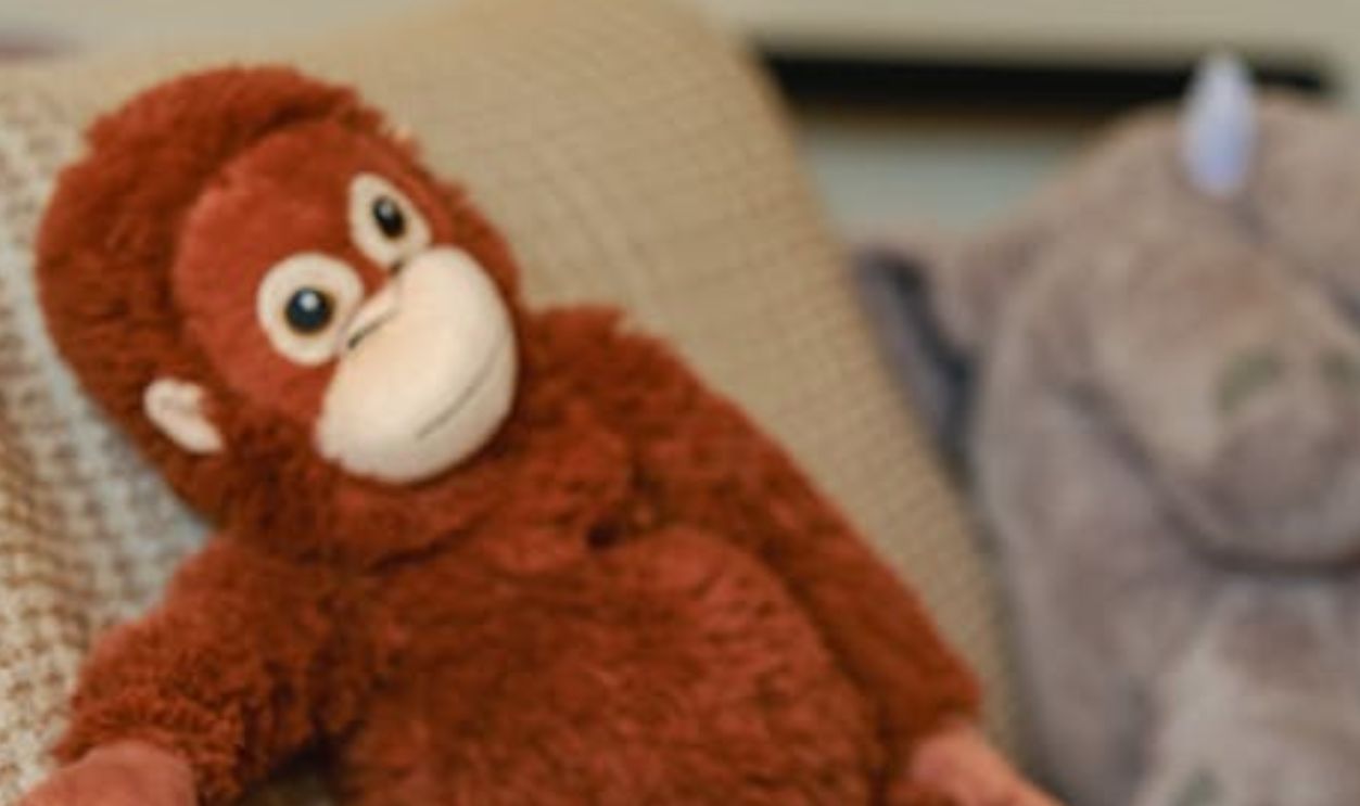 37. Sentimental Monkey