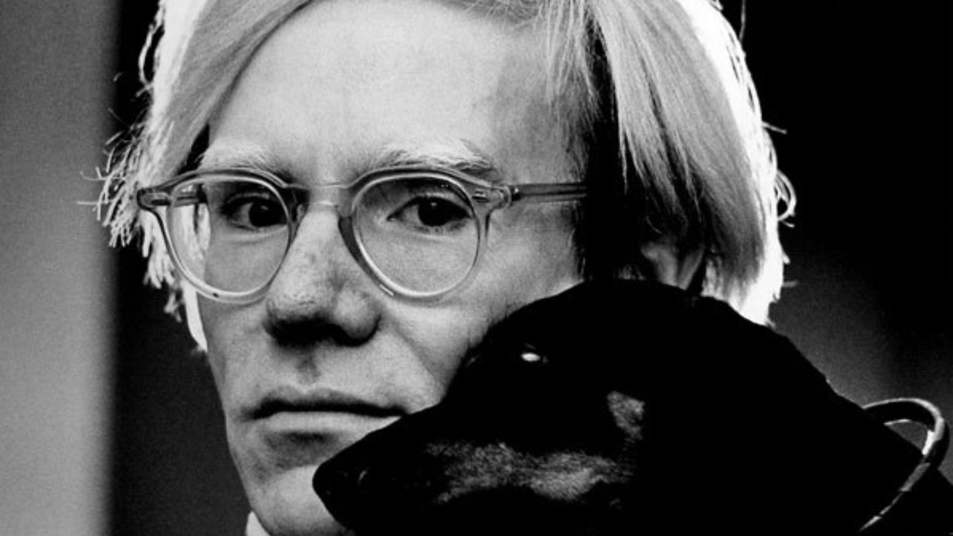 File:Andy Warhol by Jack Mitchell.jpg
