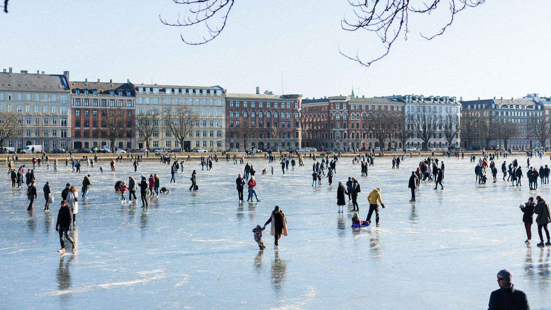 people on ice field during daytime