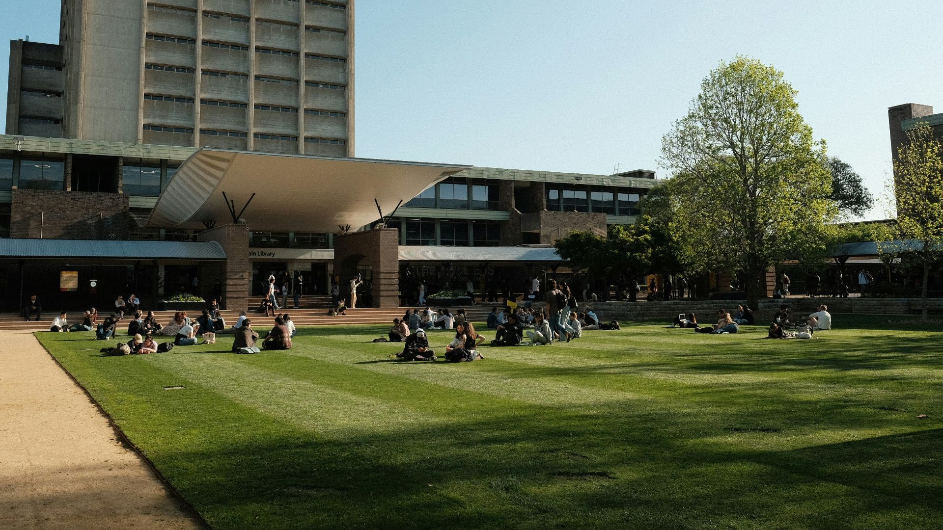 A group of people sitting on top of a lush green field