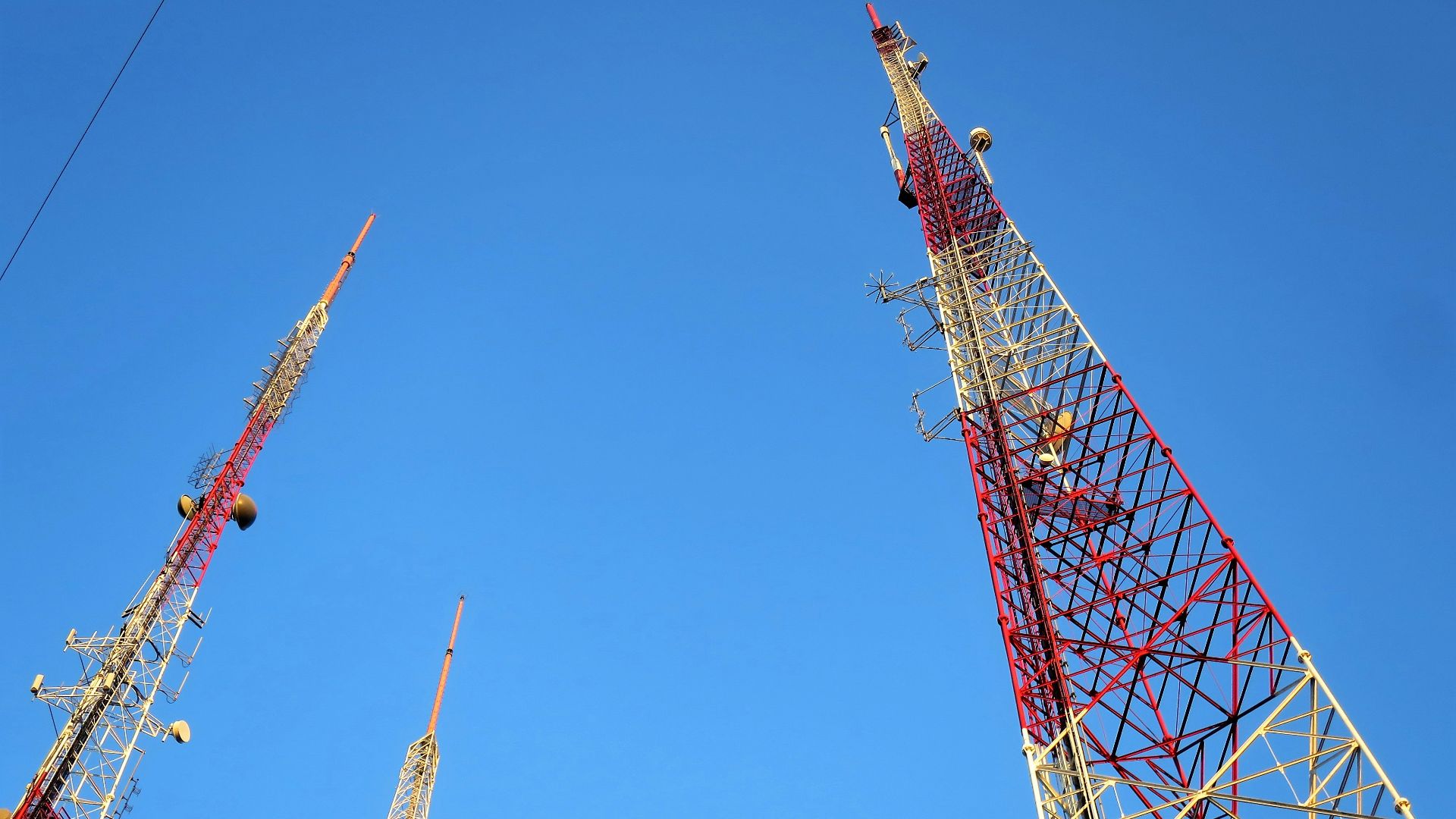 a group of red and yellow roller coasters
