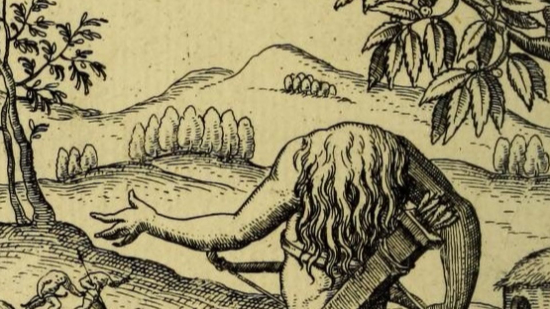 File:Brevis descrip Guianae-Raleigh&Hulsius010d-headless.jpg
