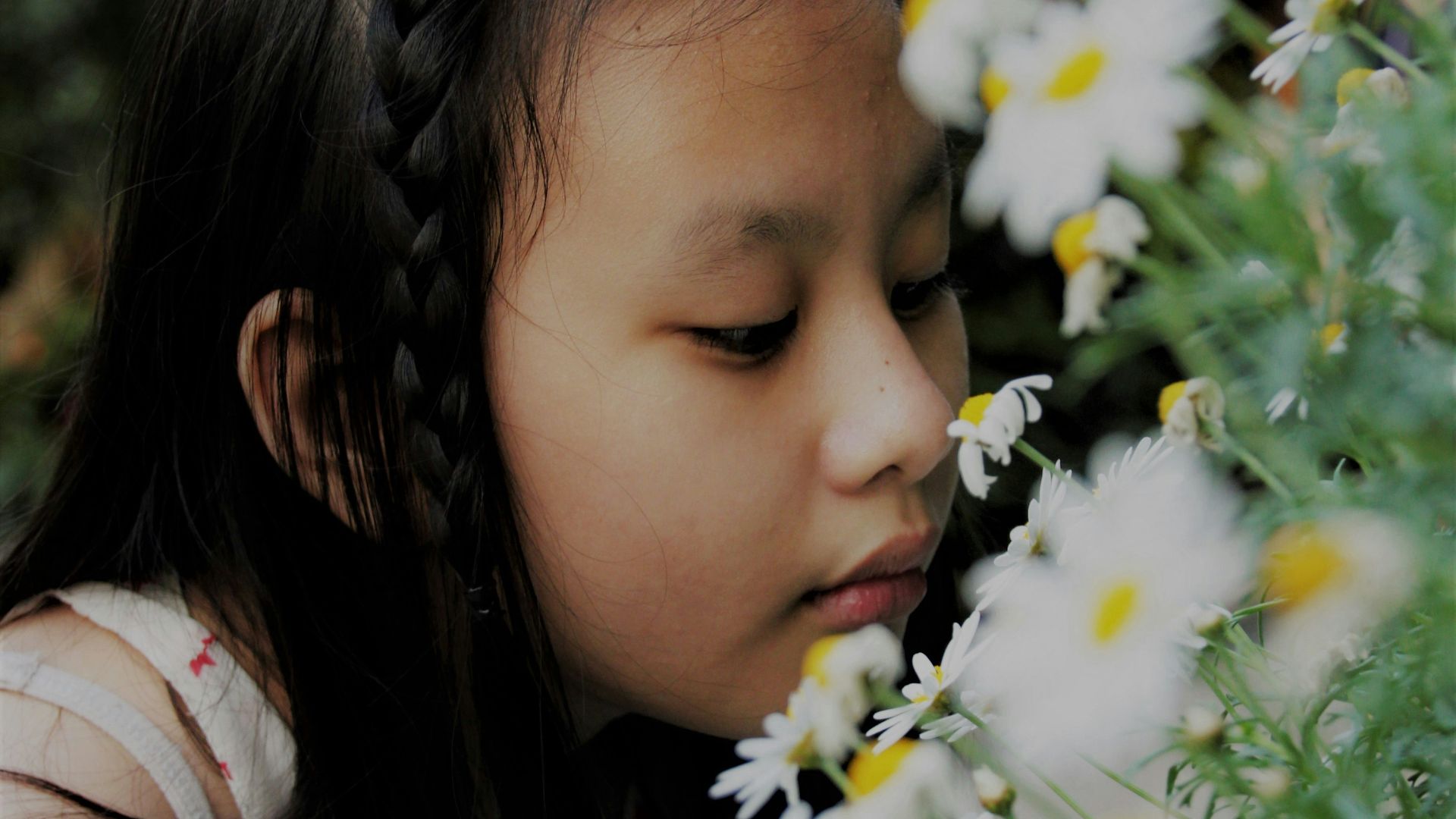 girl smelling white flower during daytime