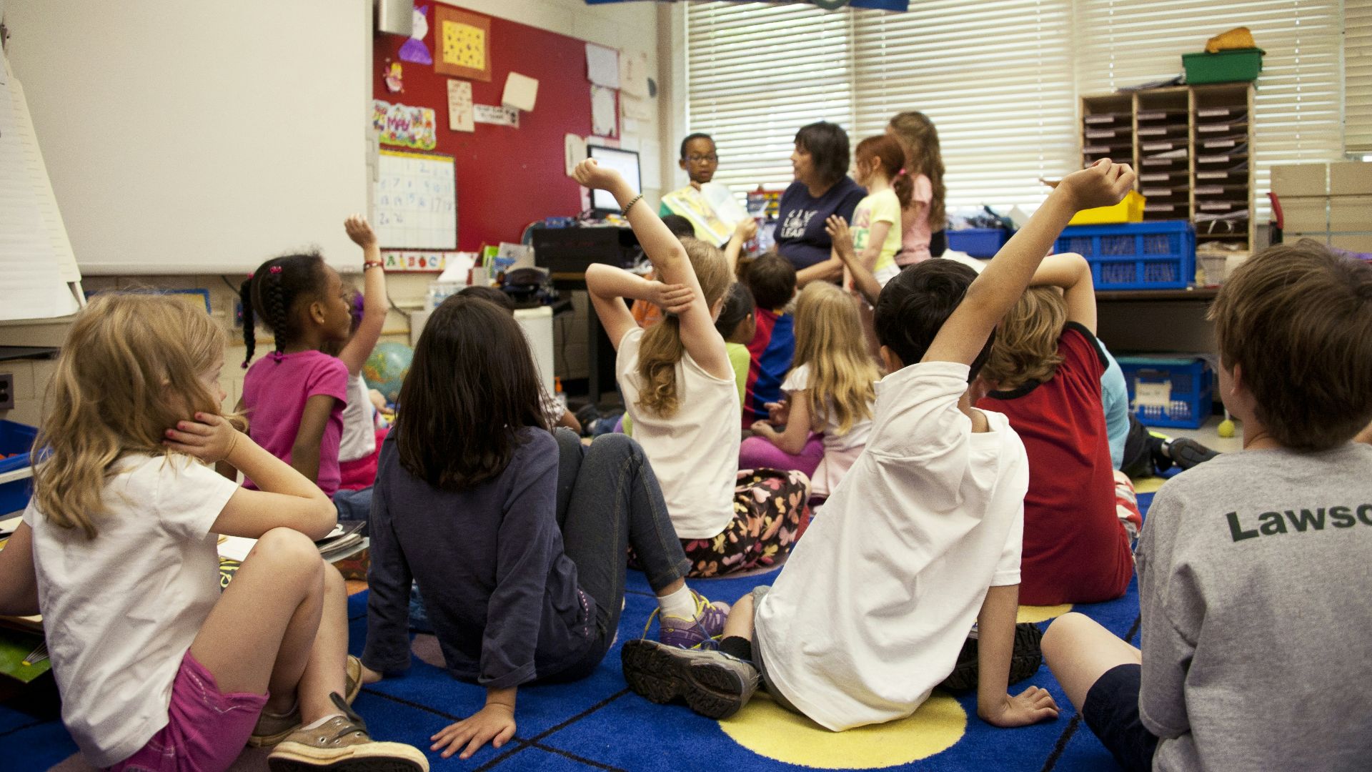 people sitting on blue carpet