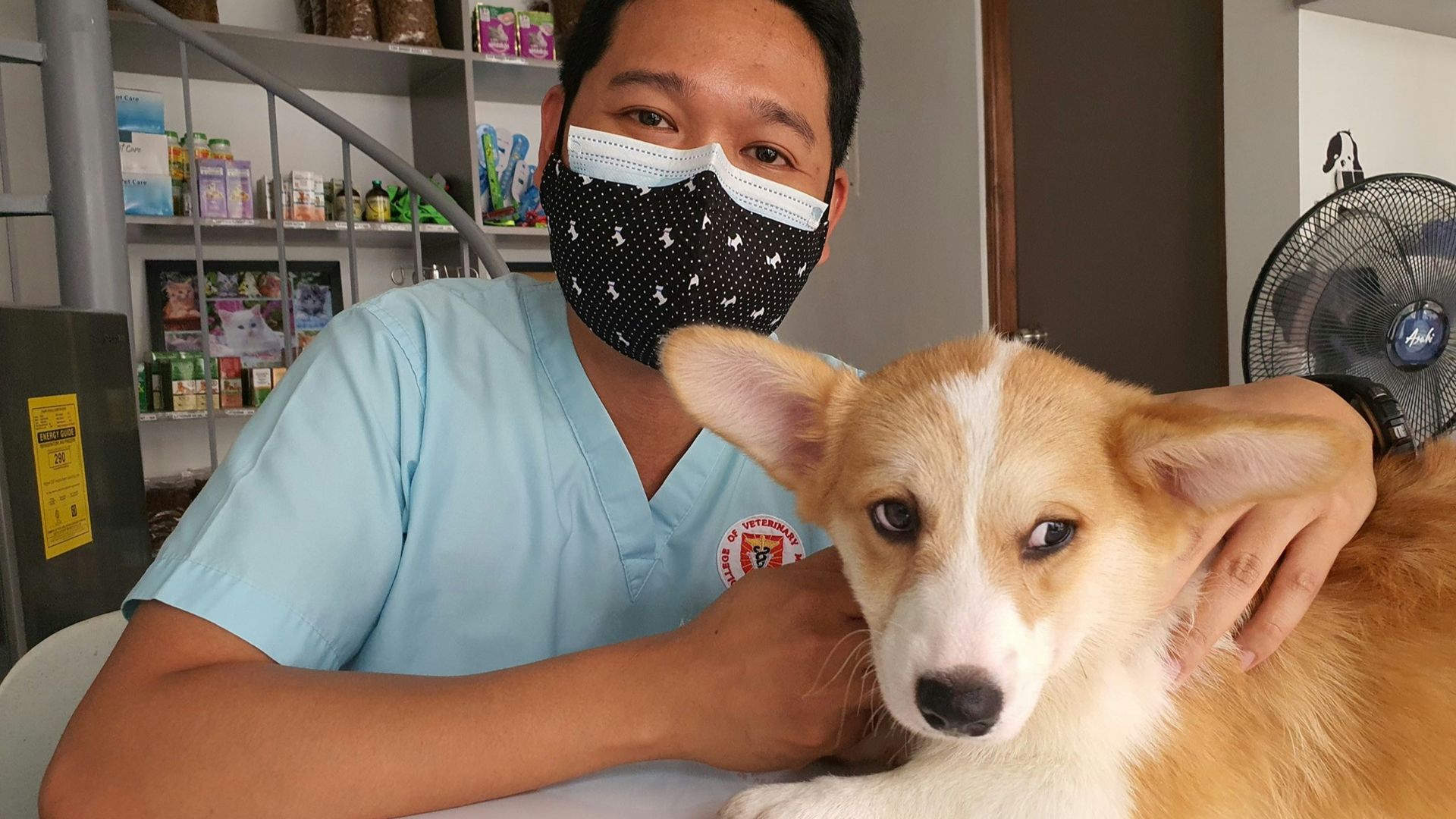 a man wearing a face mask sitting next to a dog