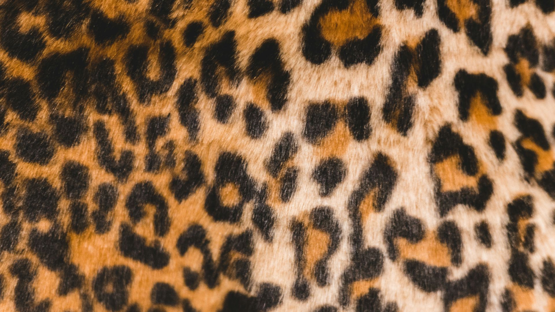 black and brown leopard print garment