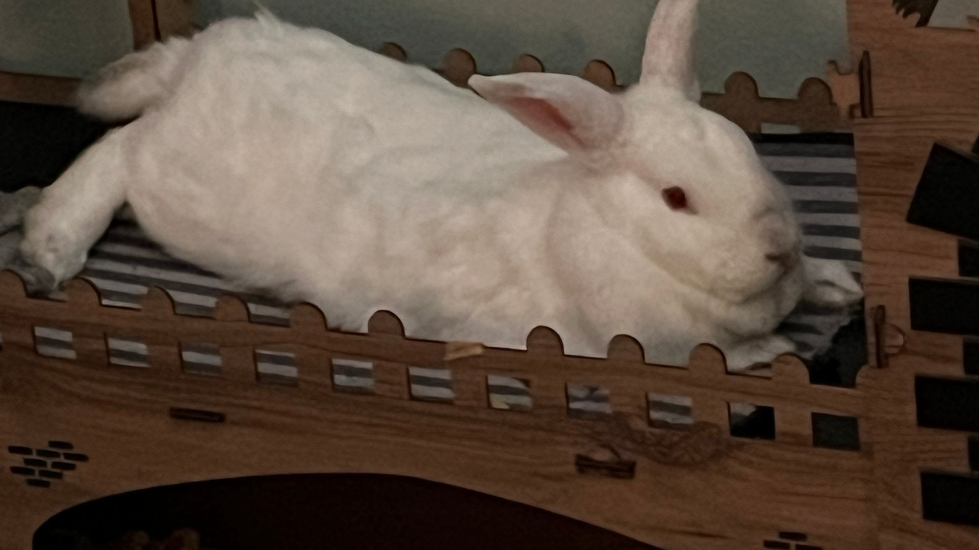 File:Bunny Castle Toys and hides.jpg