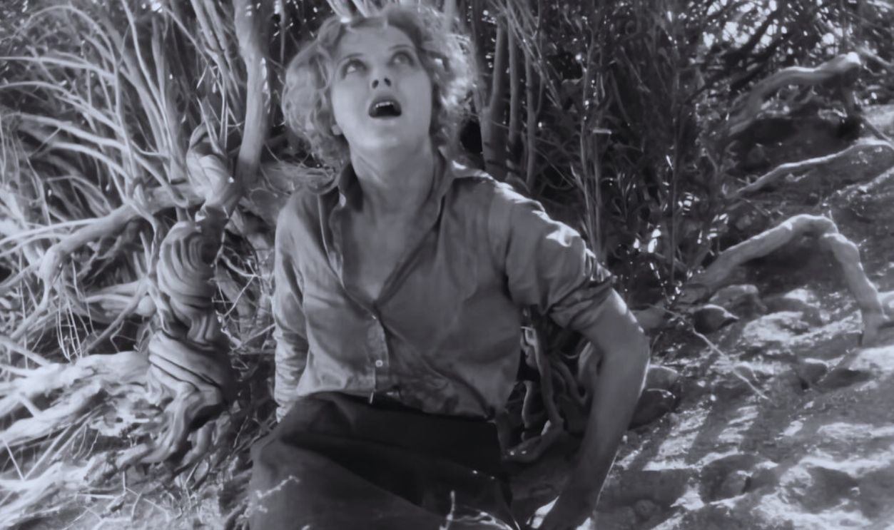 Screenshot from Desert Nights (1929)