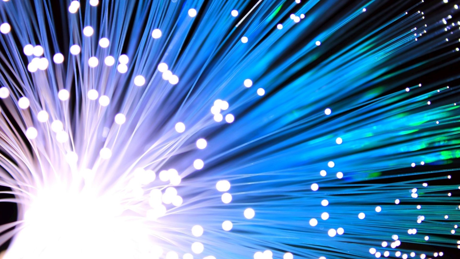 File:Fiber Optical Cable.jpg