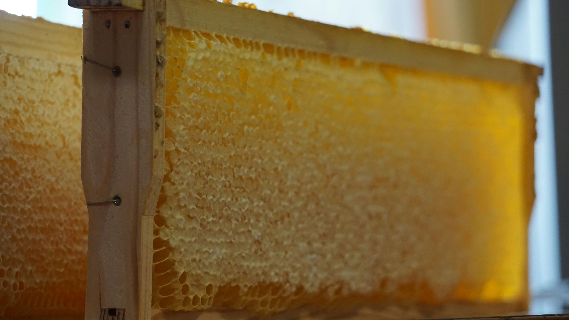 a box of yellow powder